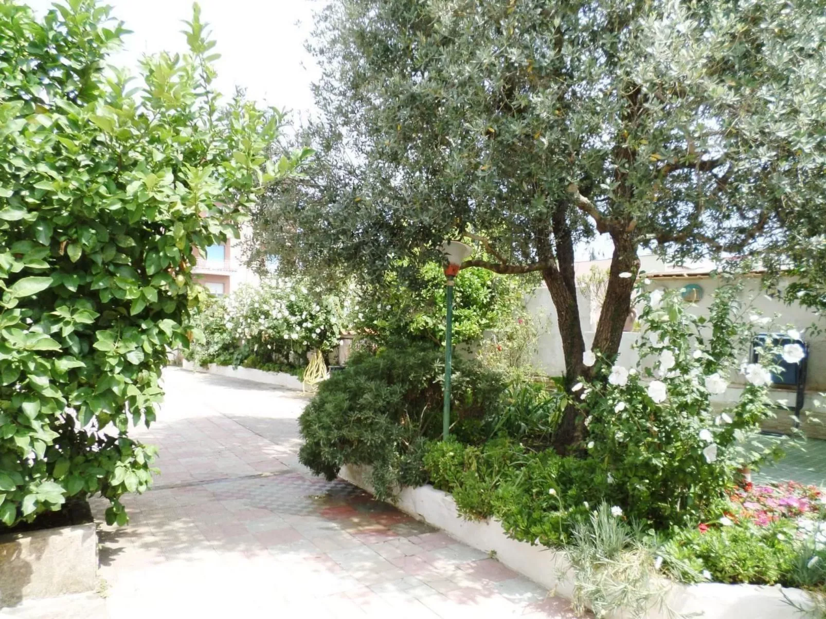 Das Landhaus von Kleopatra und Marcantonio-Buiten