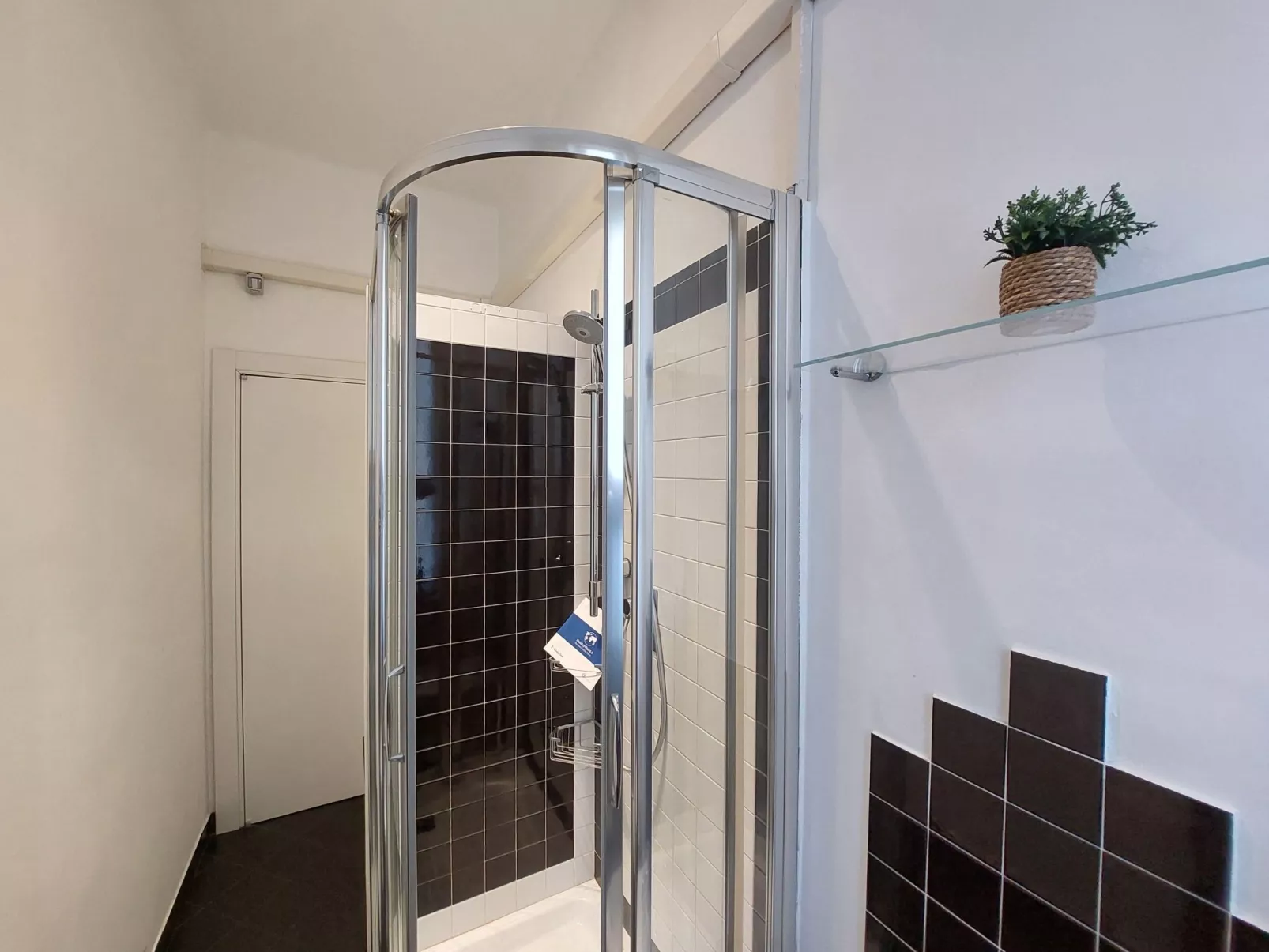 Cavallotti 7 von Holiday World-Binnen