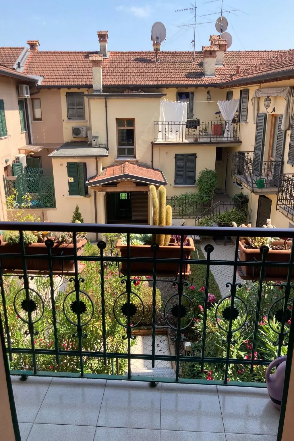 'CasAldo-Image-tags.info