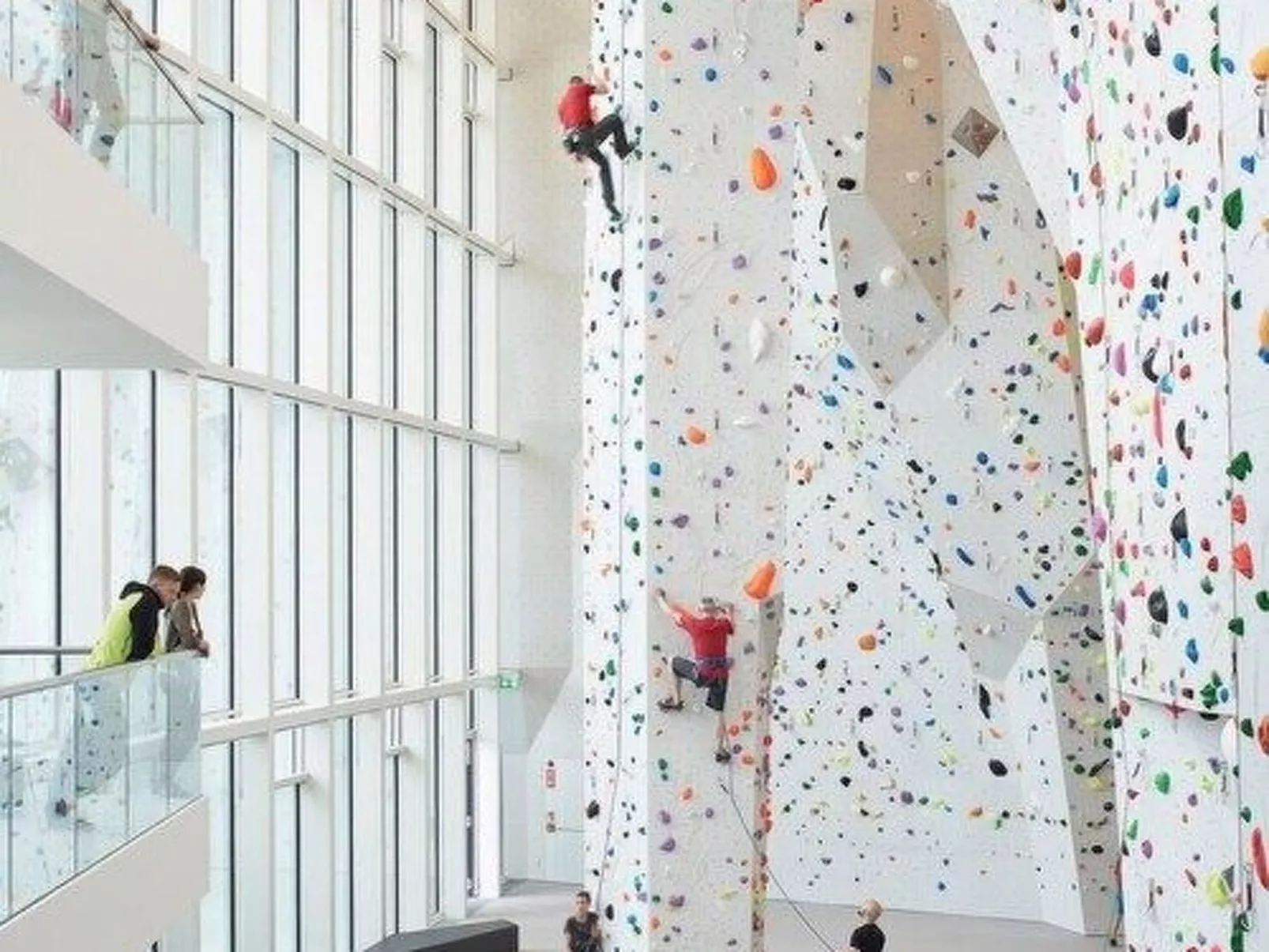 Alpenrose-Image-tags.info