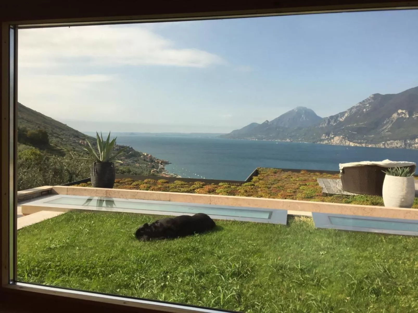 Miralago-Image-tags.info