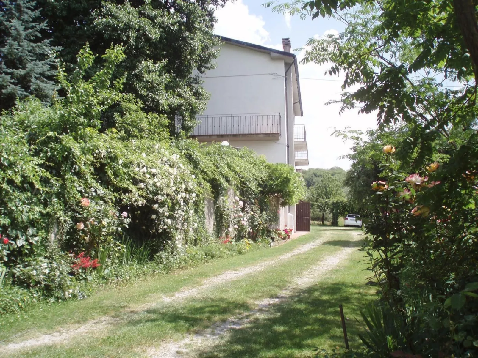 'Fasan' mit Balkon-Image-tags.info