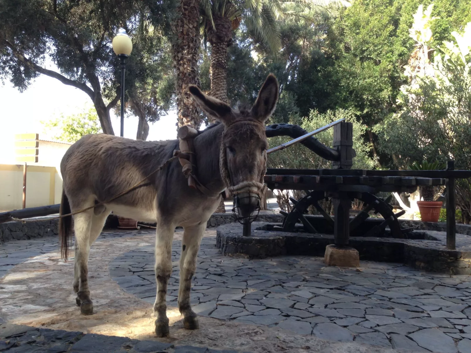 "Jandia" mit Wasserblick-Buiten