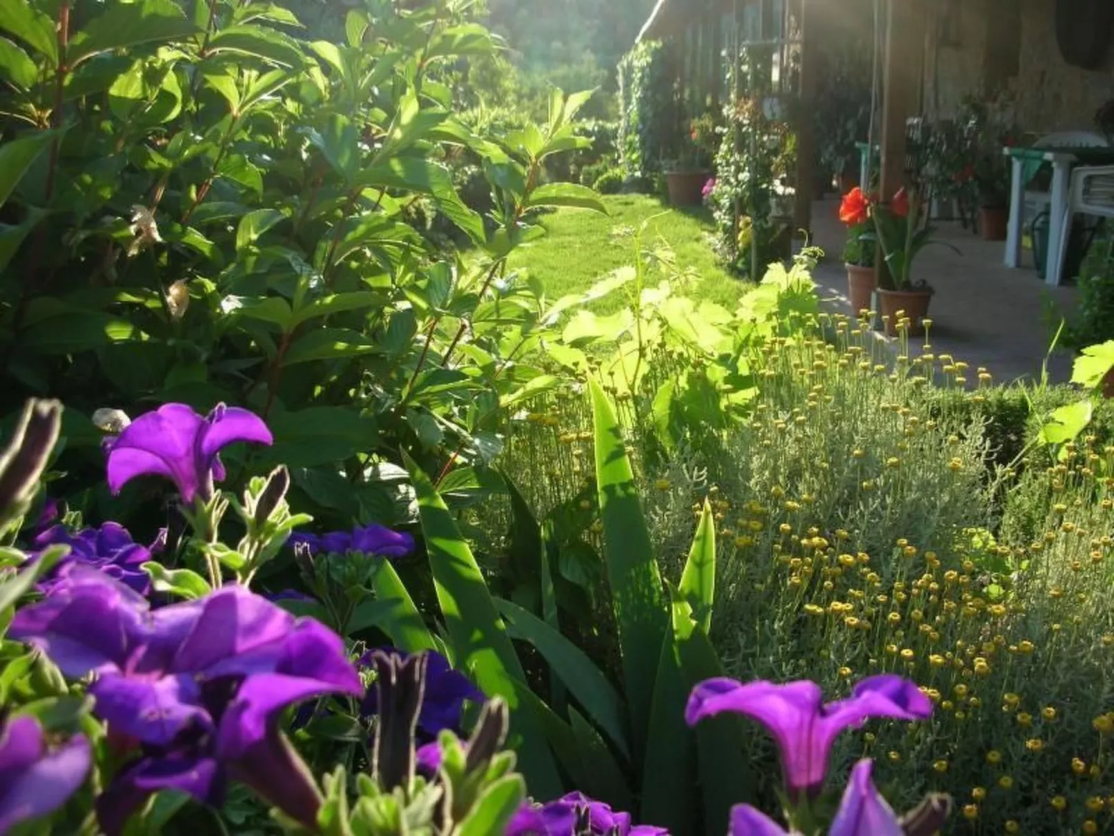 Bauernhaus Biancospino-Buiten
