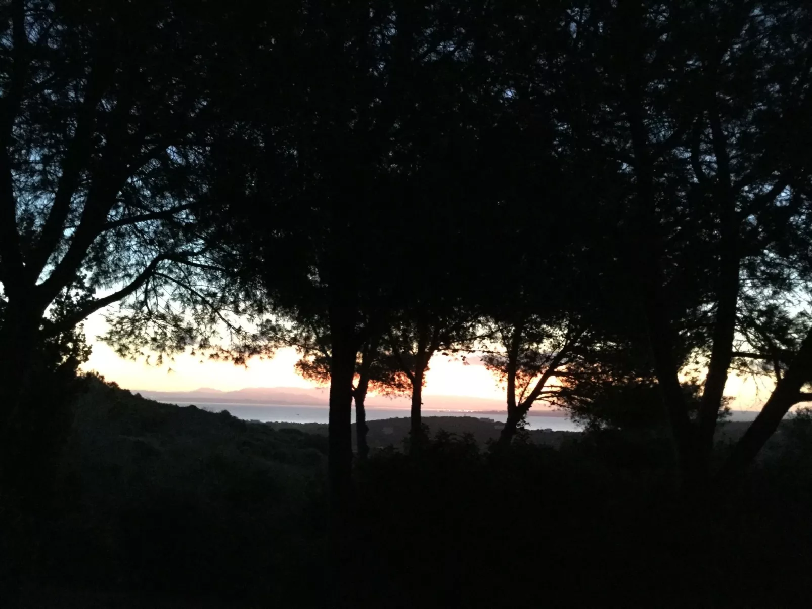 'Luciana' mit Wasserblick-Image-tags.info