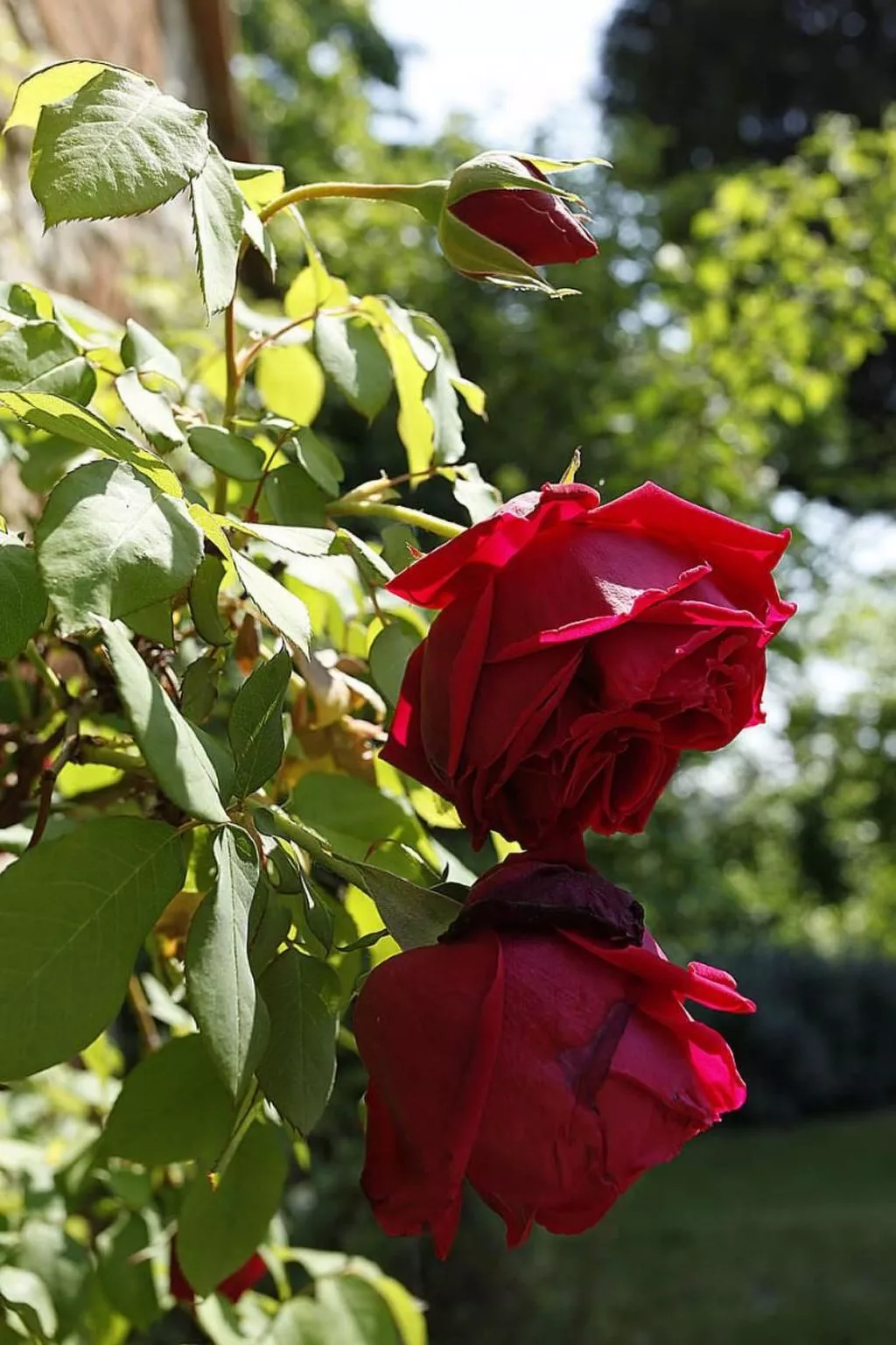 Casa Fallocchio-Buiten