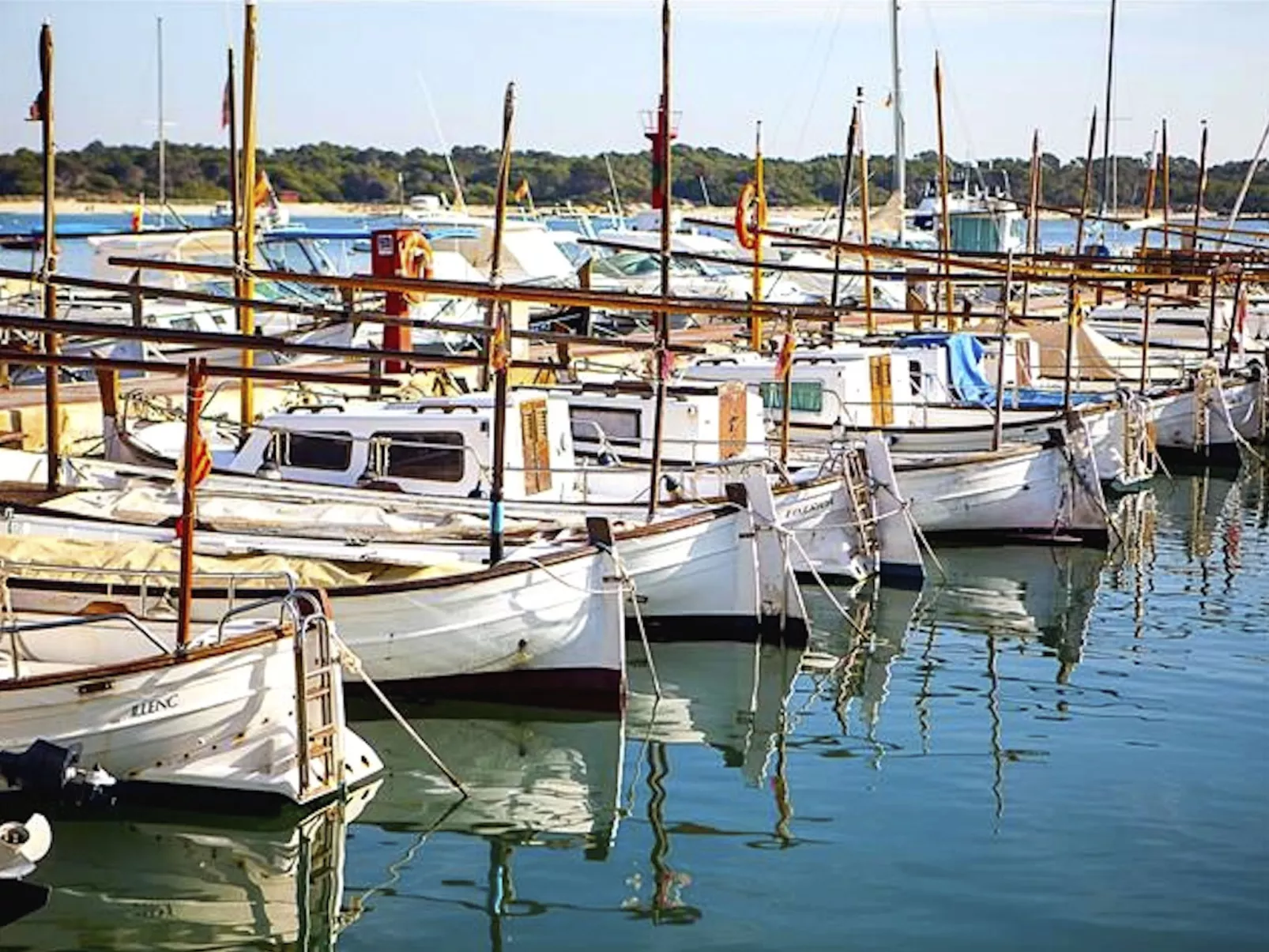 Finca Alfabia Campos-Buiten