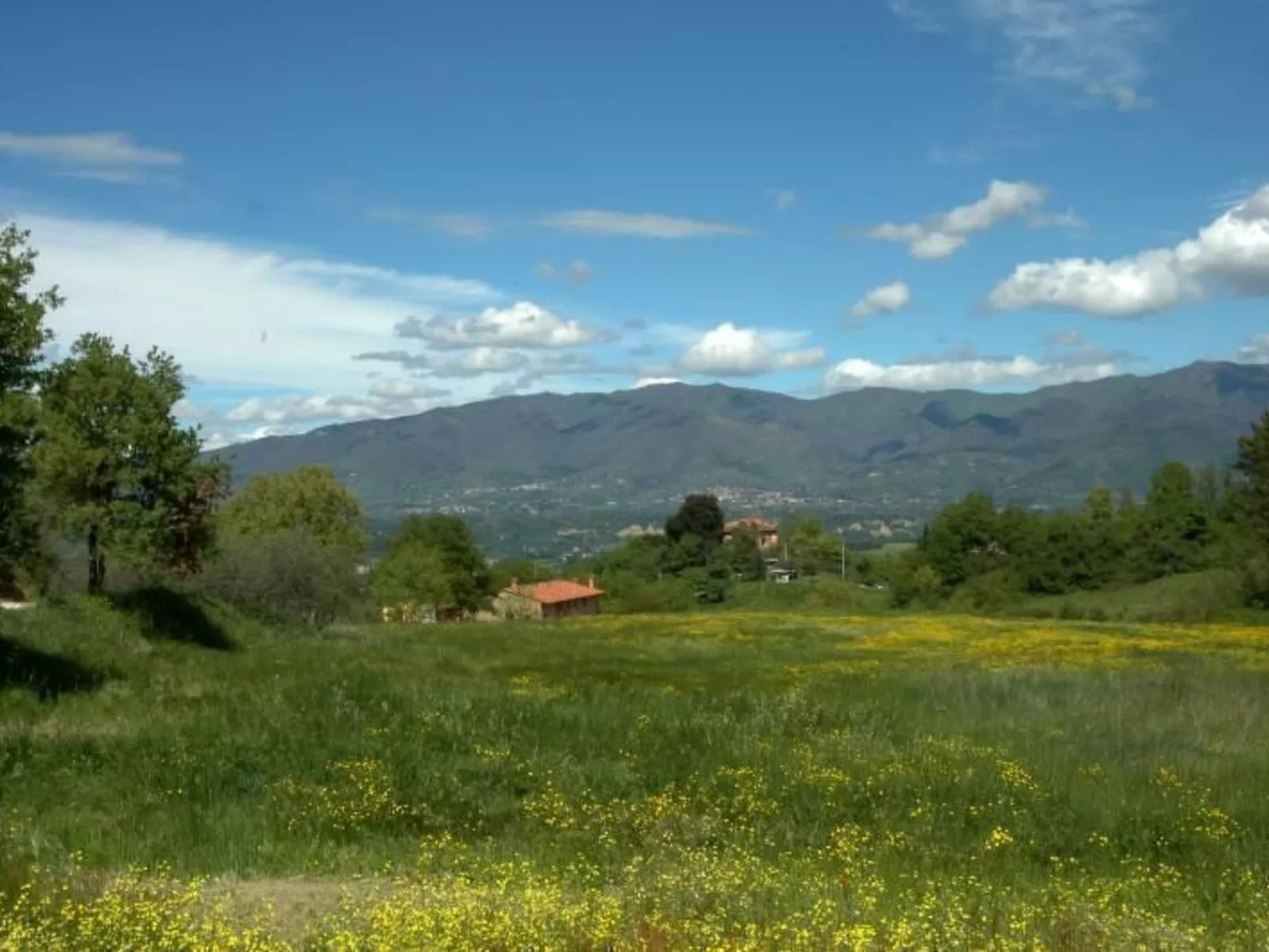 Anwesen "Frantoio" mit Infinity-Pool-Buiten