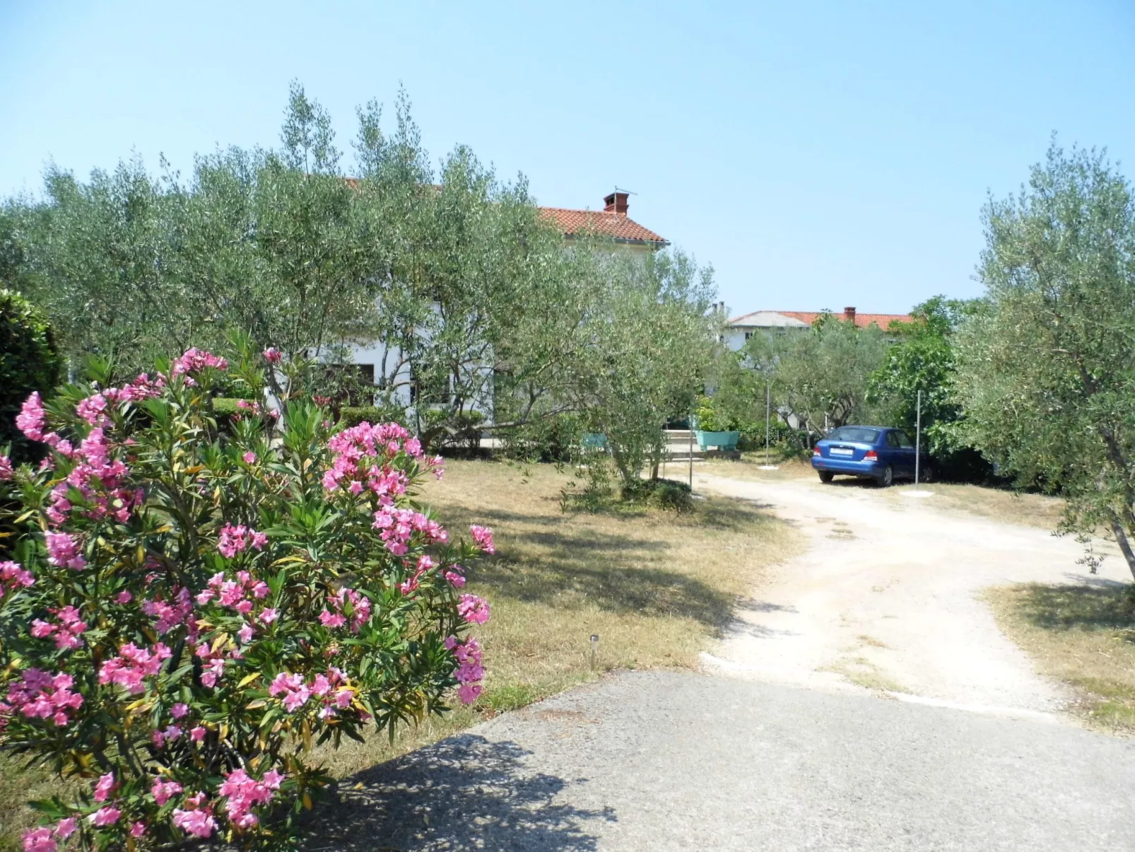 Schöne, gemütliche Ferienwohnung "Mira B" mit Garten-Buiten