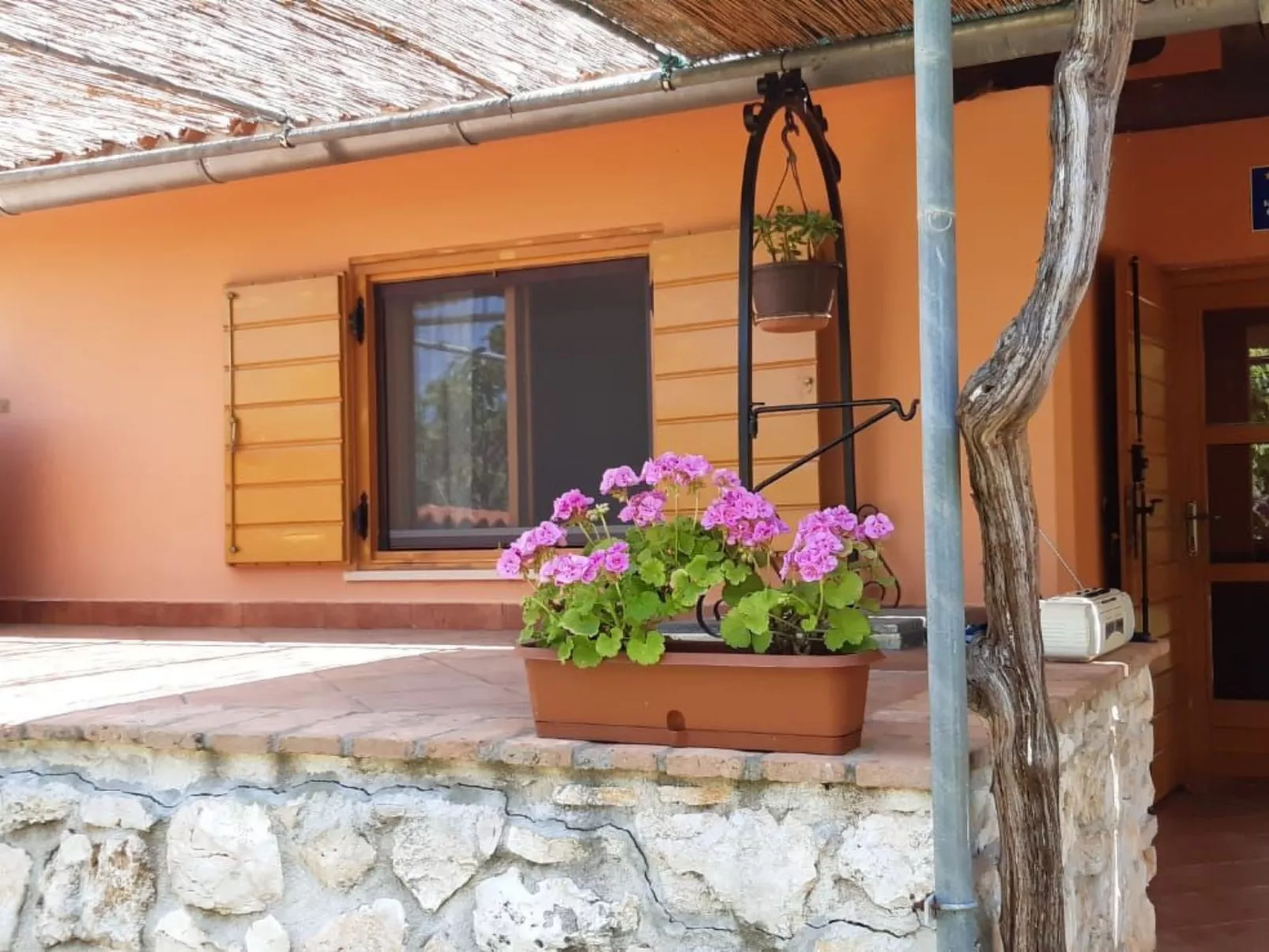 Mit schönem Garten und Sonnenterrasse-Image-tags.info