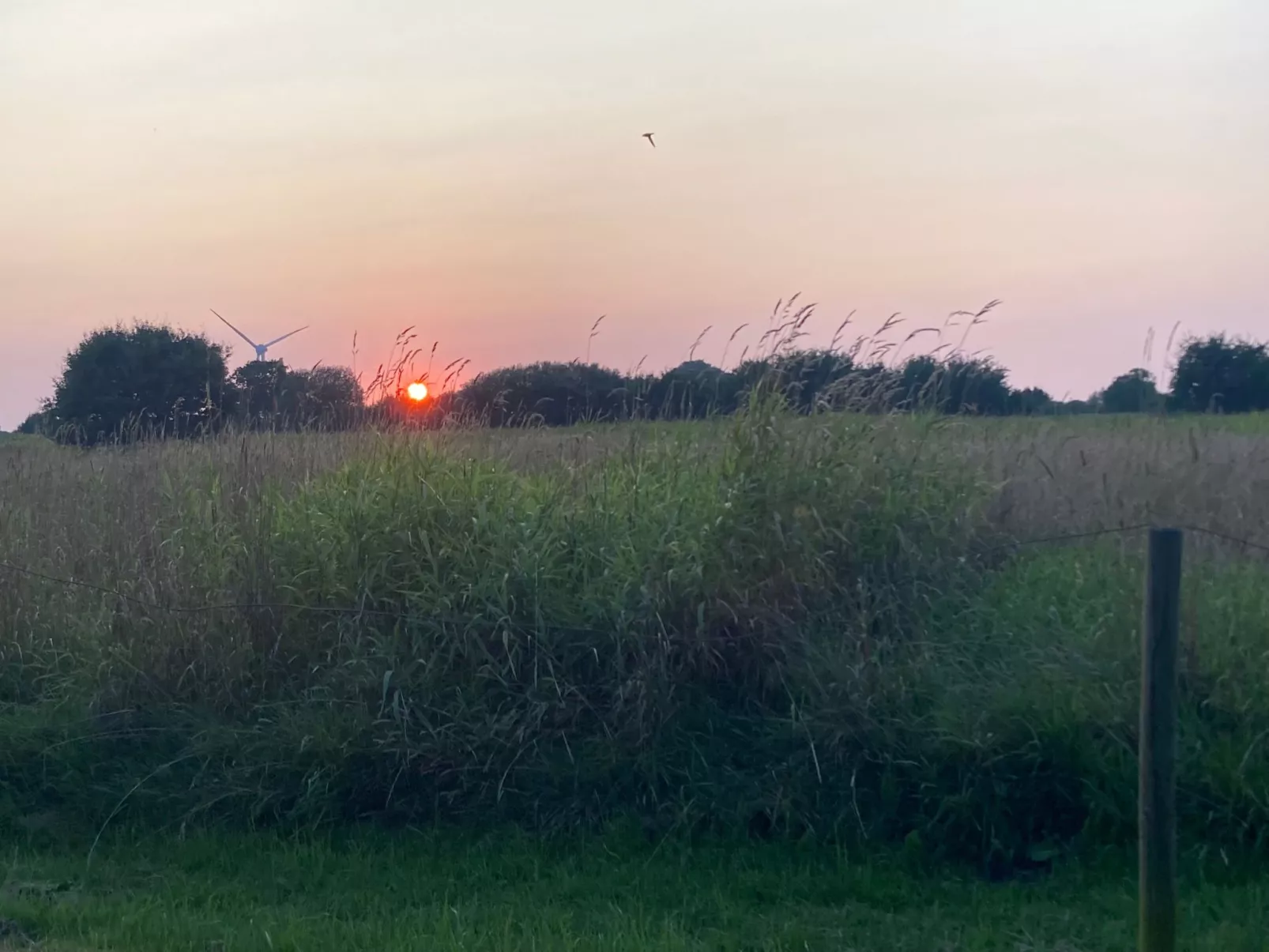 Finkenbusch-Image-tags.info