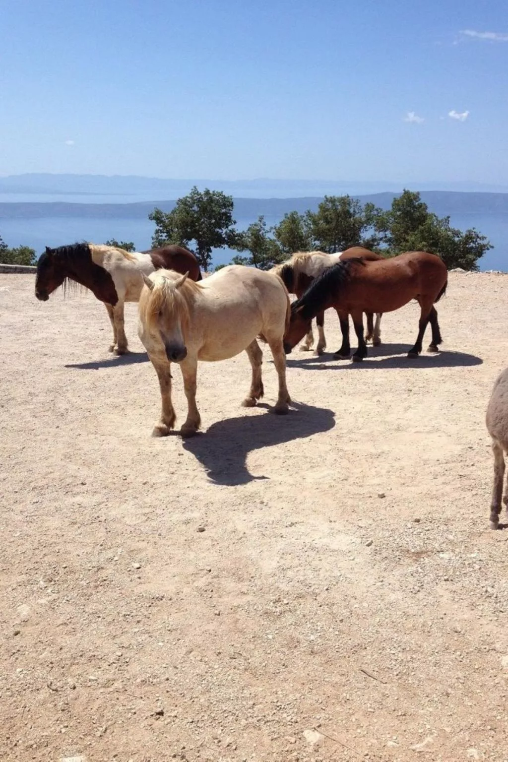 "Paola" mit eigenem Pool-Buiten