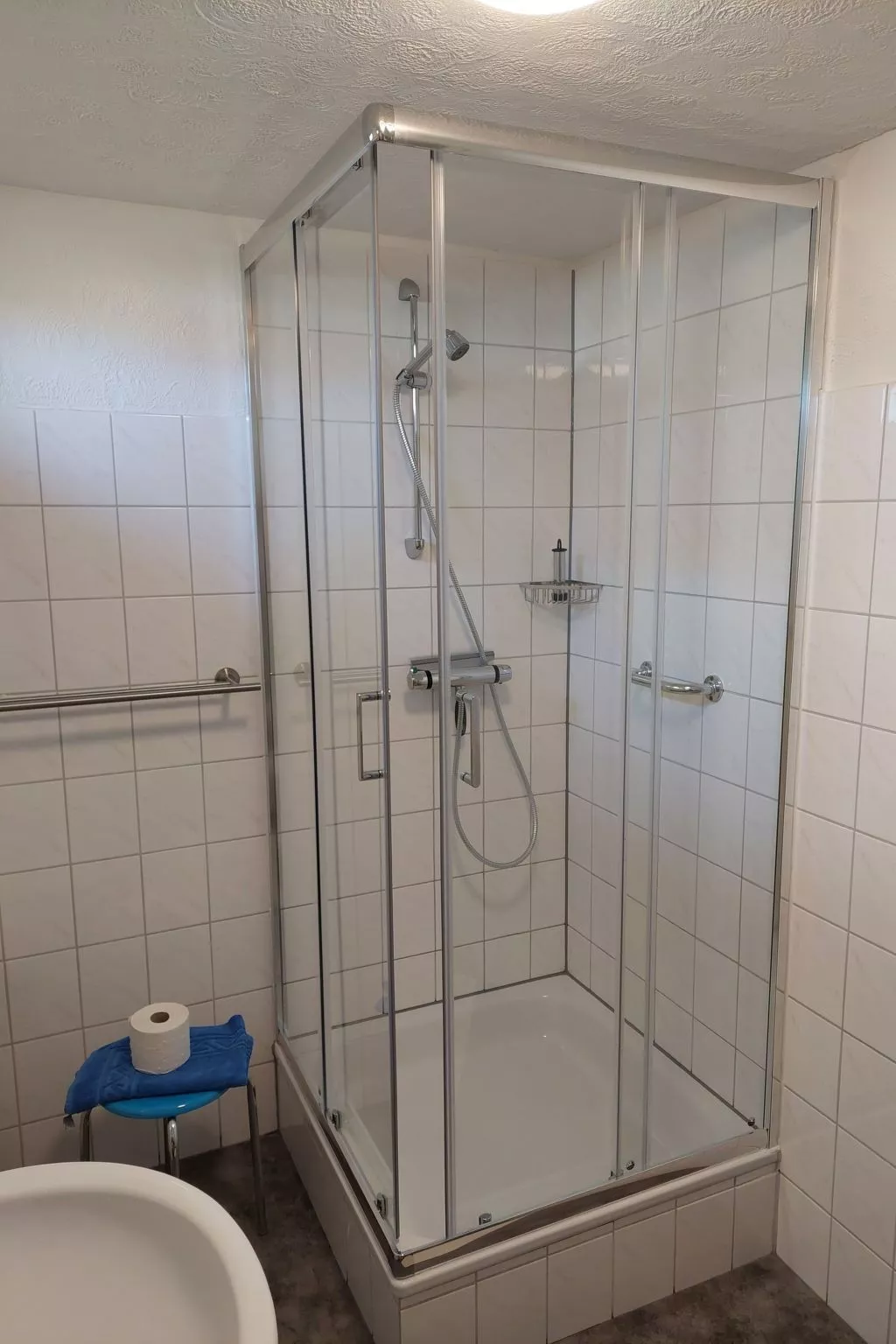 Wattwurm in Fedderwardersiel-Binnen