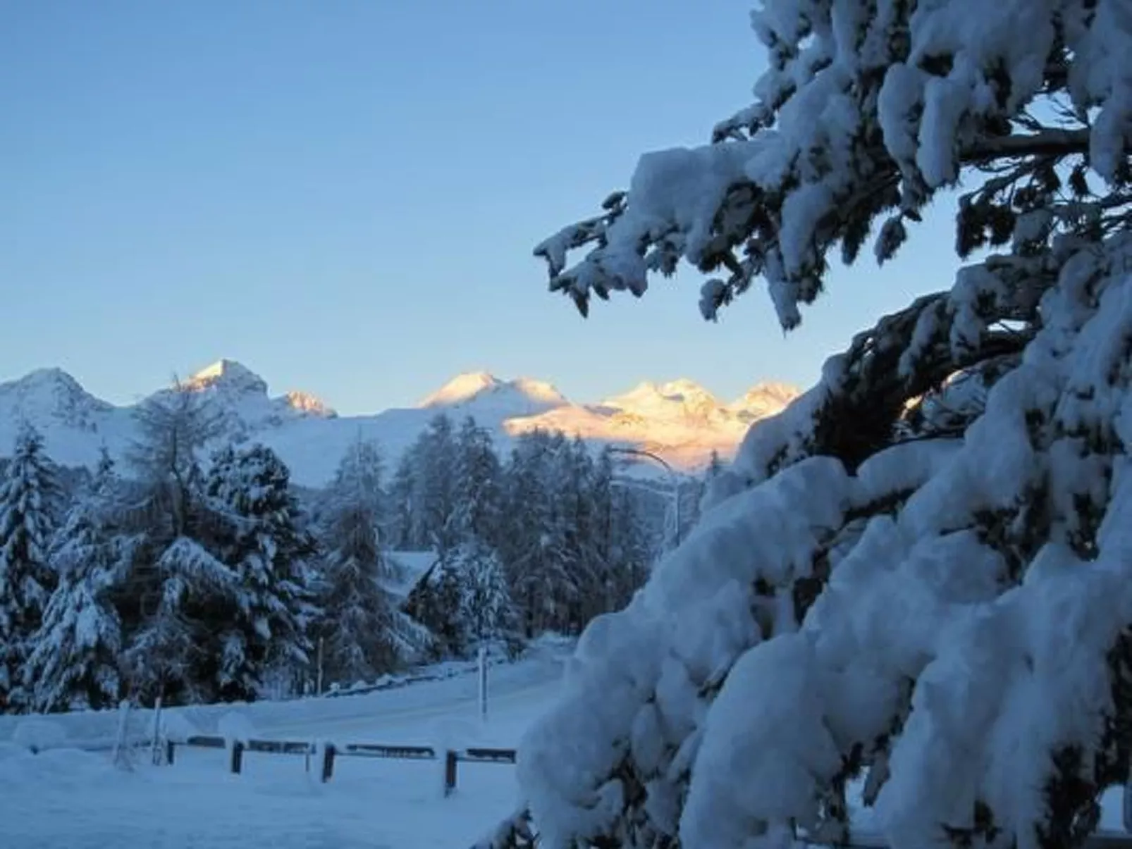 Chesa Basilisk 1 - ÖV inklusive-Image-tags.info