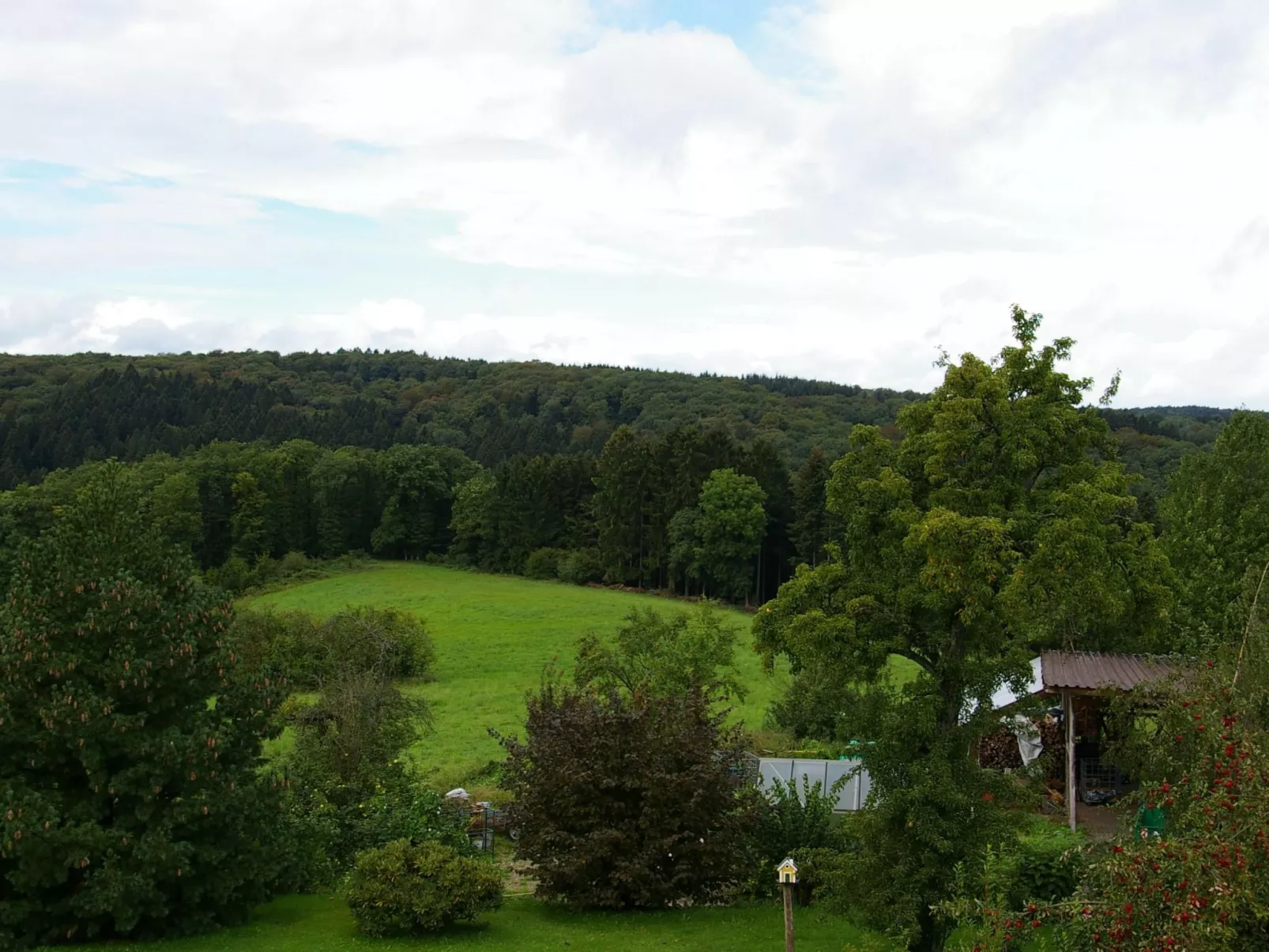 Komfortable Ferienwohnung in Waldnähe-Buiten