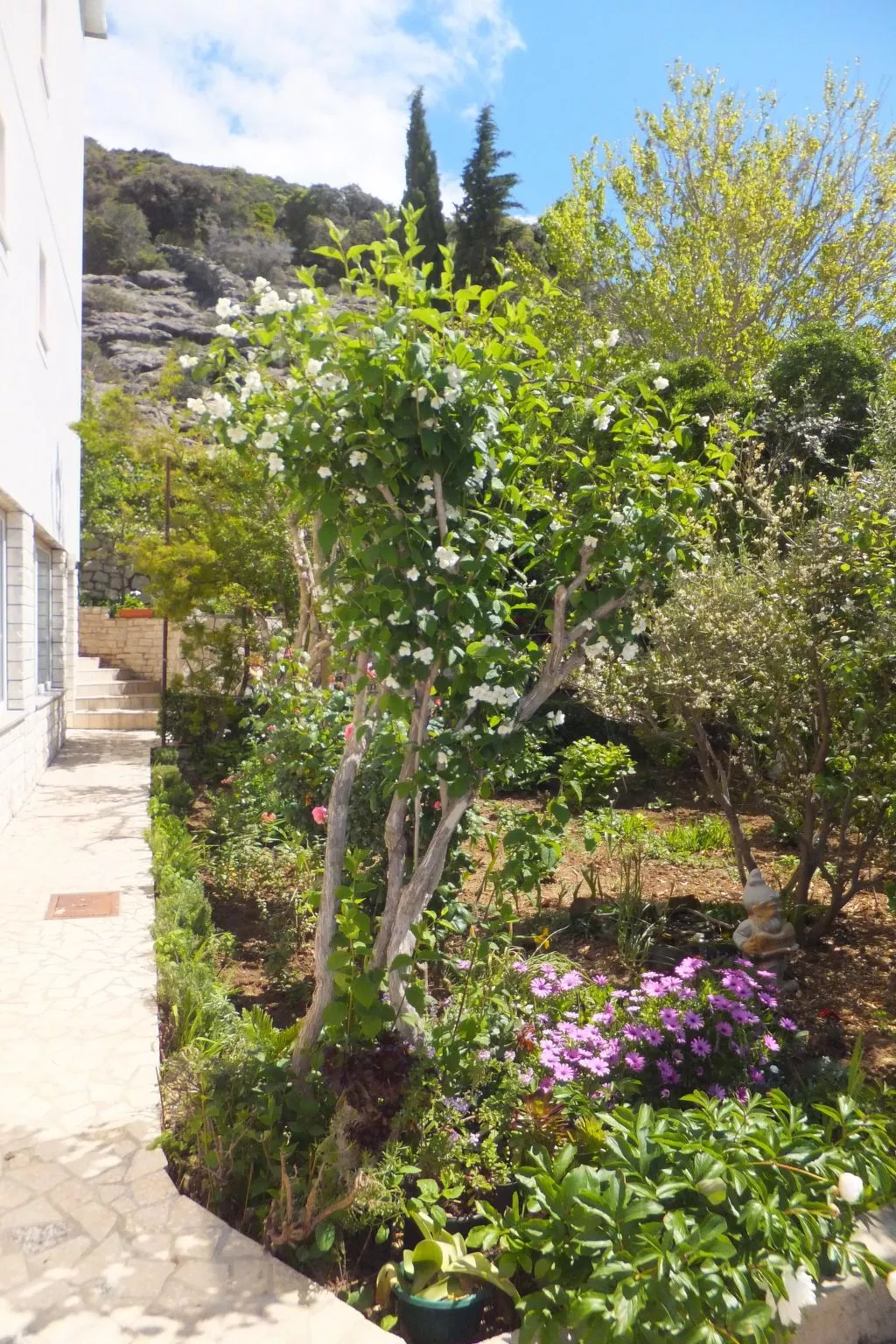 "Appartement 1"-Buiten