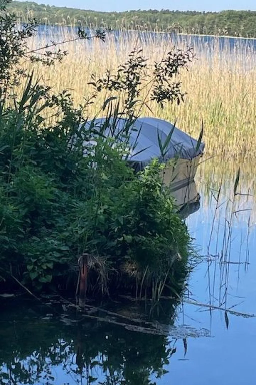 Bungalow Klein Pritz-Buiten