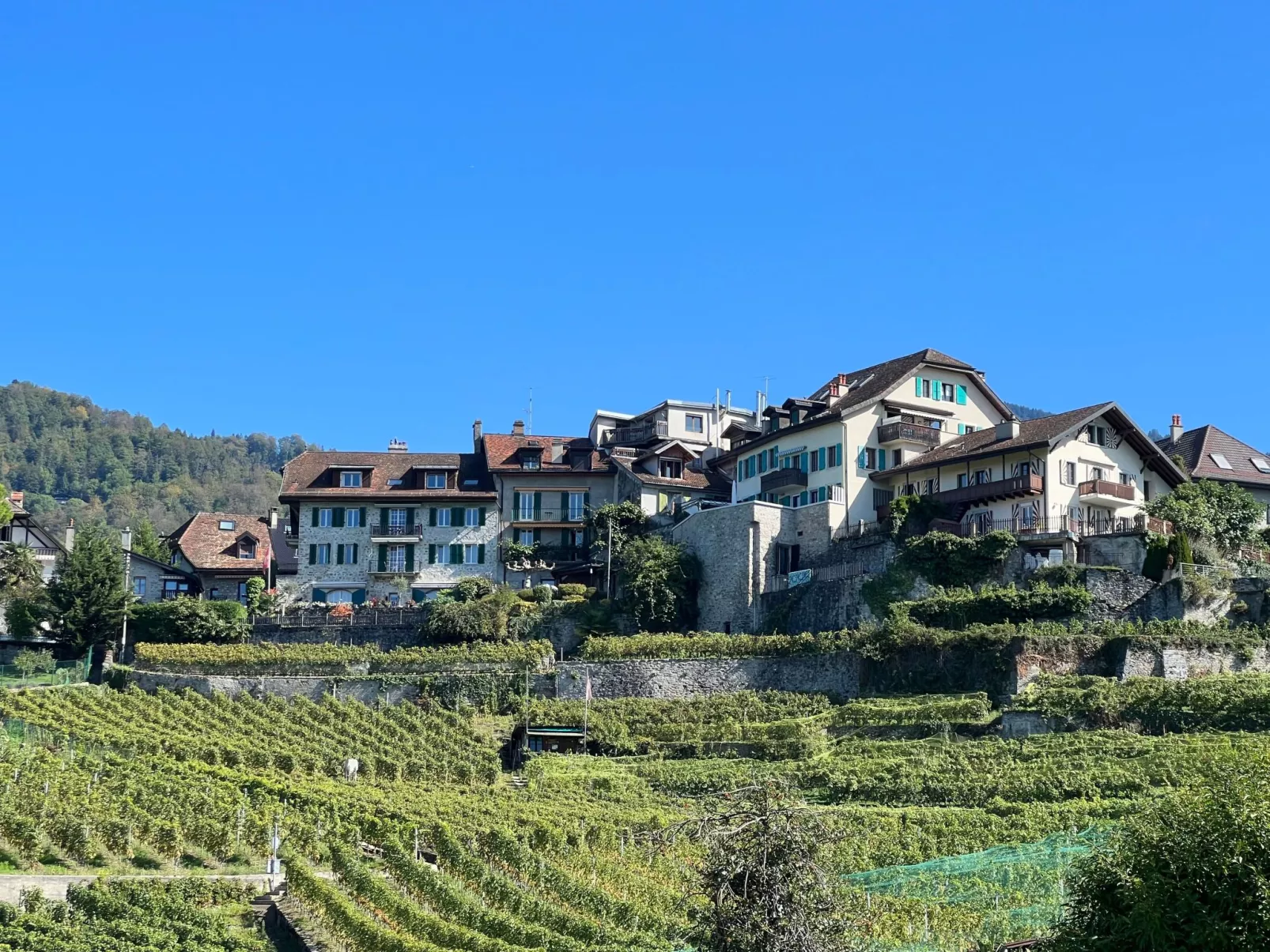 Vigneronne, App. Lac-Buiten