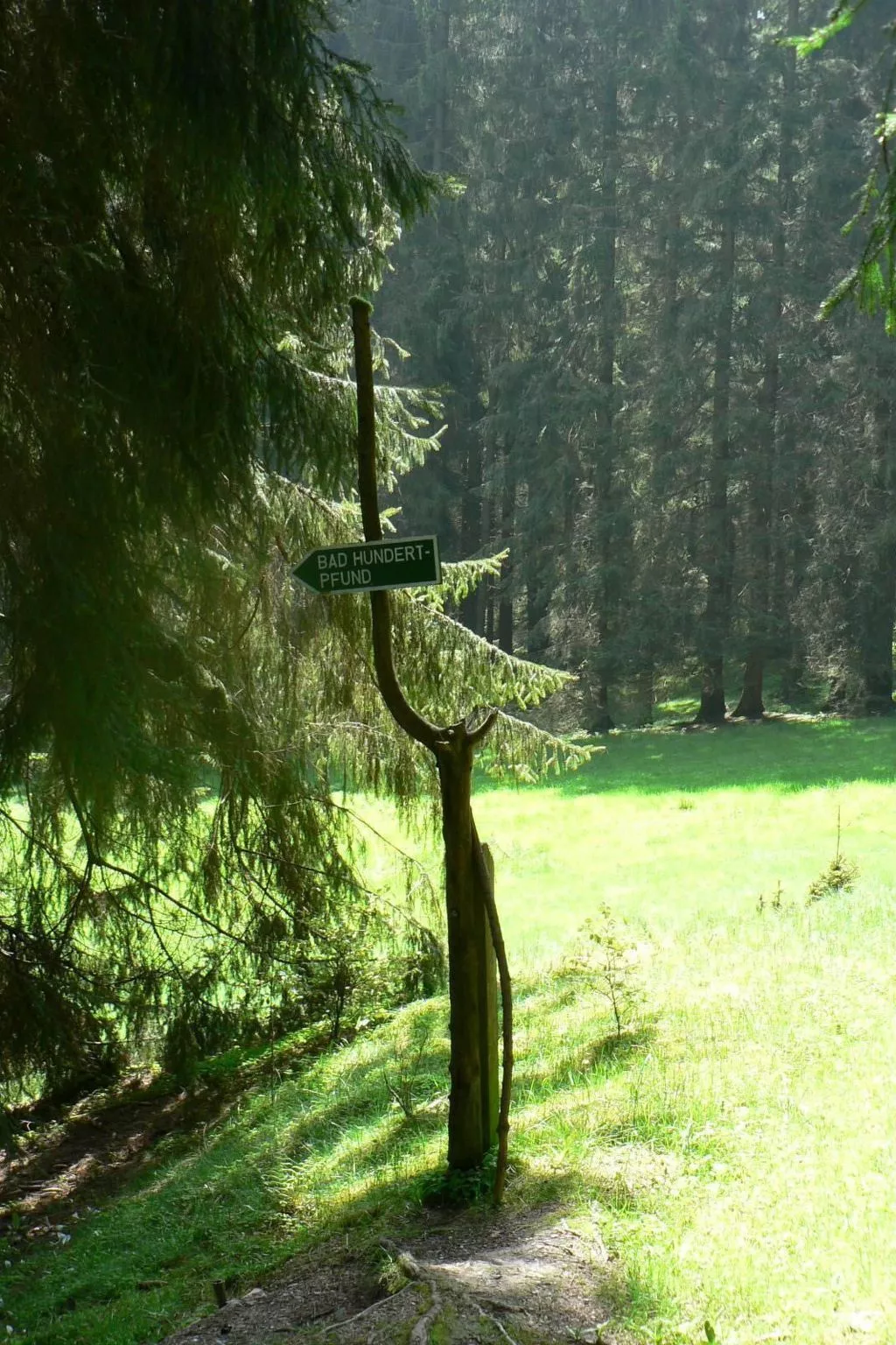 Für 9 Personen im Thüringer Wald-Buiten