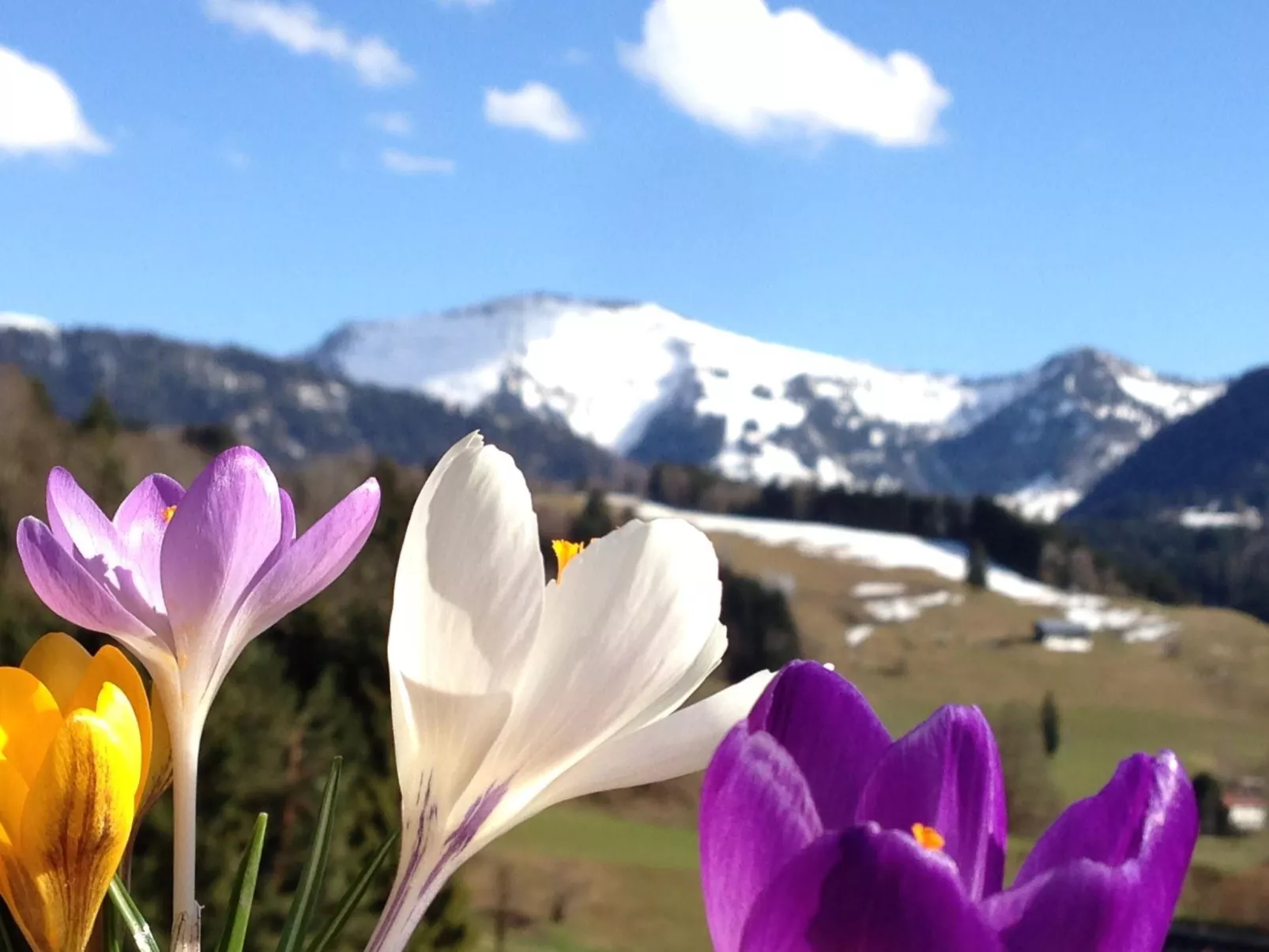 Sehnsucht Allgäu-Image-tags.info