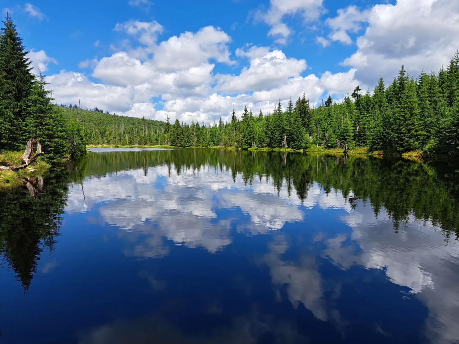 Landhaus Wildfeuer-Buiten