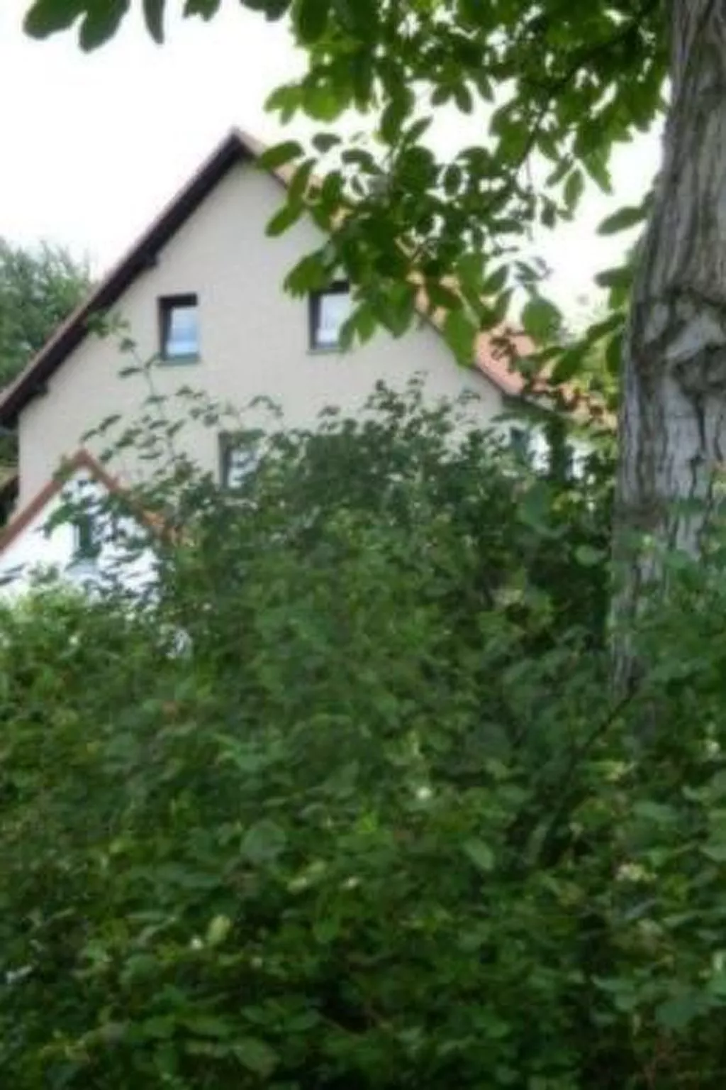 Preiser in Schieder-Schwalenberg-Buiten