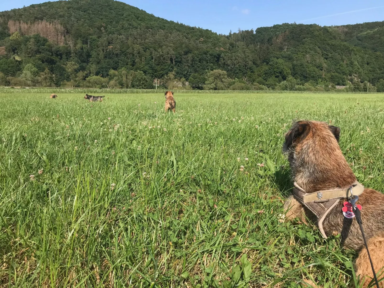 Frankenblick-Image-tags.info