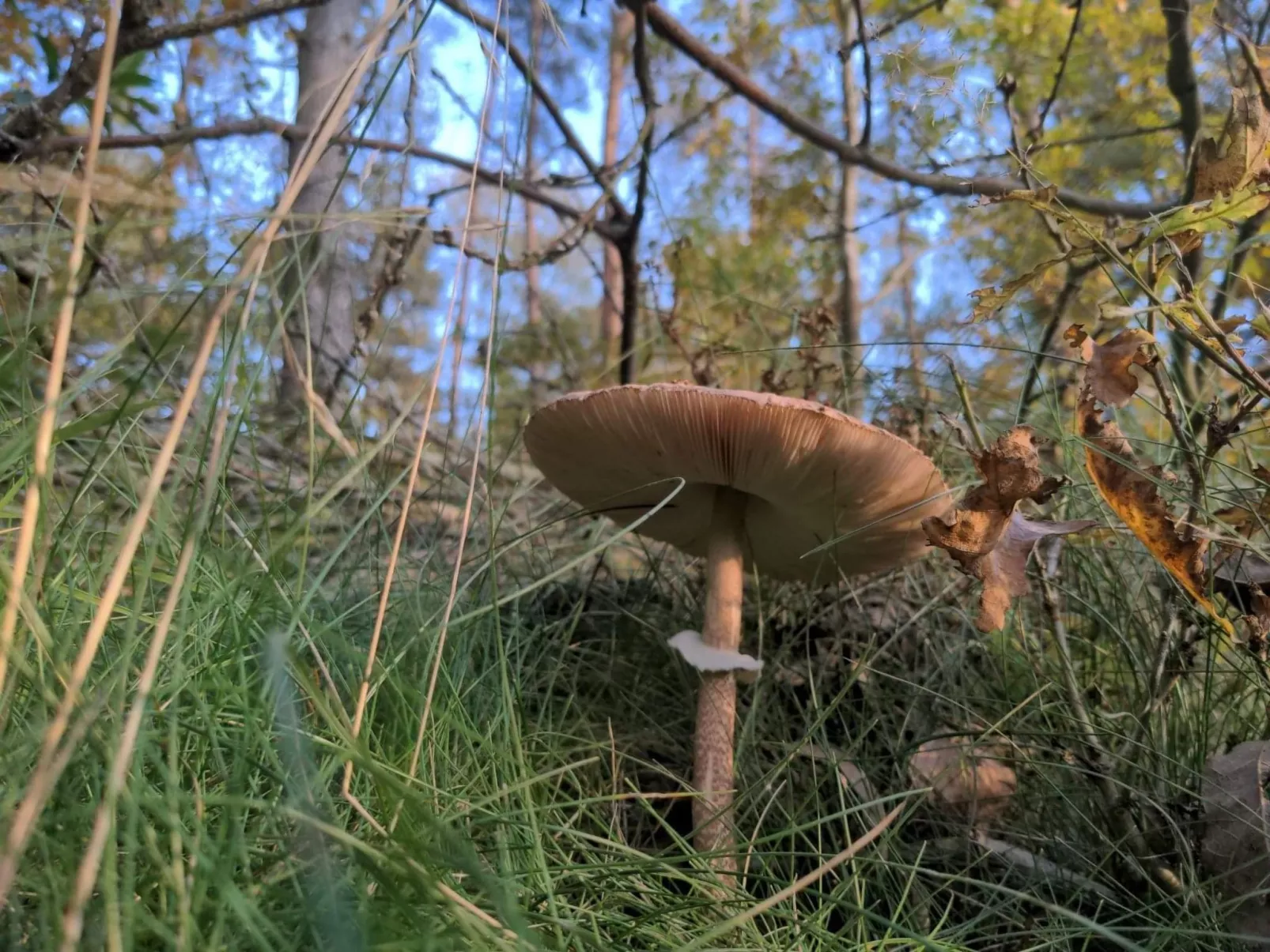 "Ferienhaus GolczaVita"-Image-tags.info