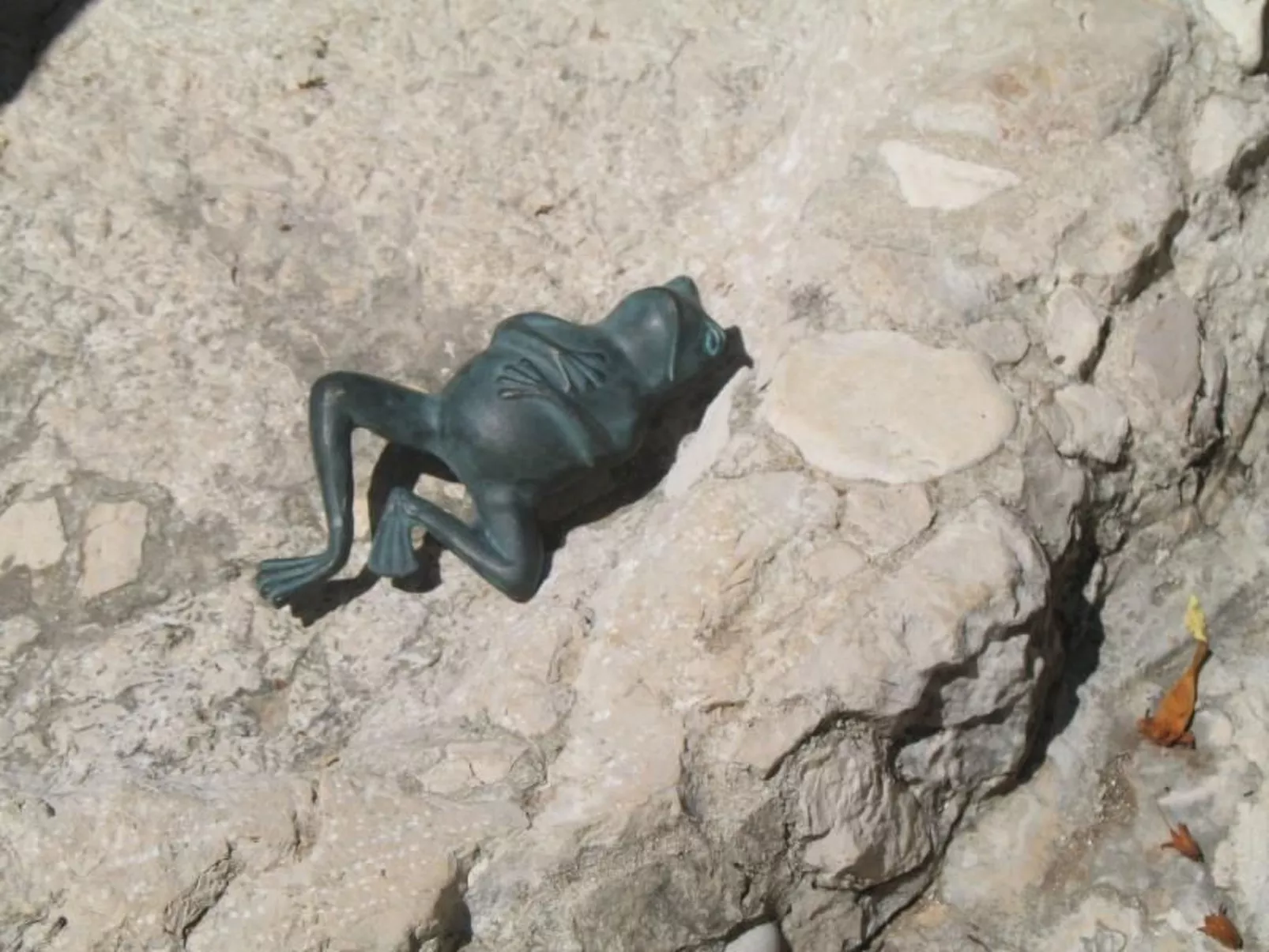 Wohnung in Zavala mit schönem Garten-Image-tags.info