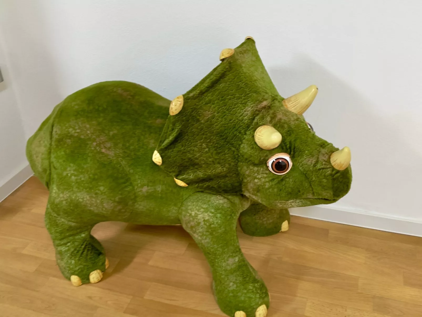 Villa Noho-Image-tags.info