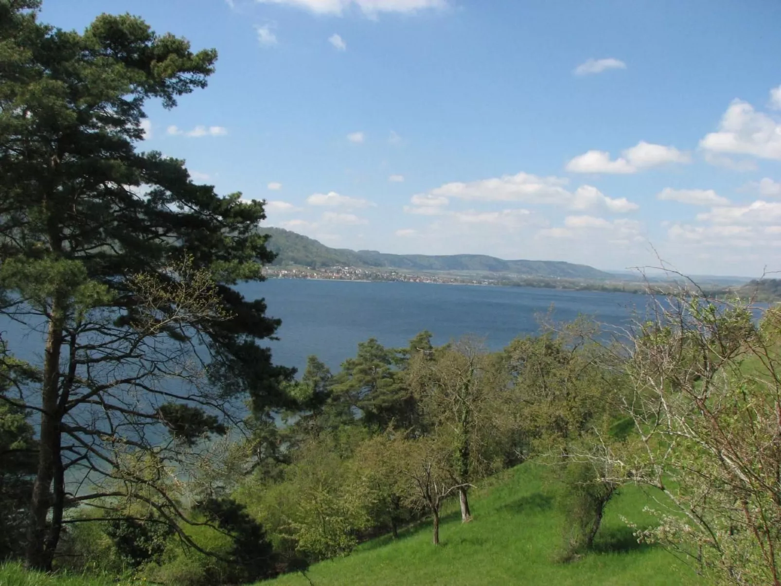 Idyllische Ferienwohnung in Sipplingen am Bodensee-Buiten