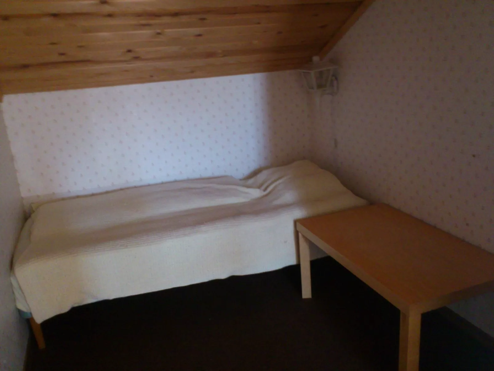 Geräumiges Ferienhaus für Konsum-Aussteiger-Binnen