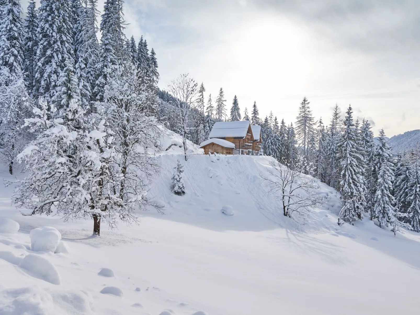 Haus Ostermoasspitz in St. Martin am Tennengebirge-Image-tags.info