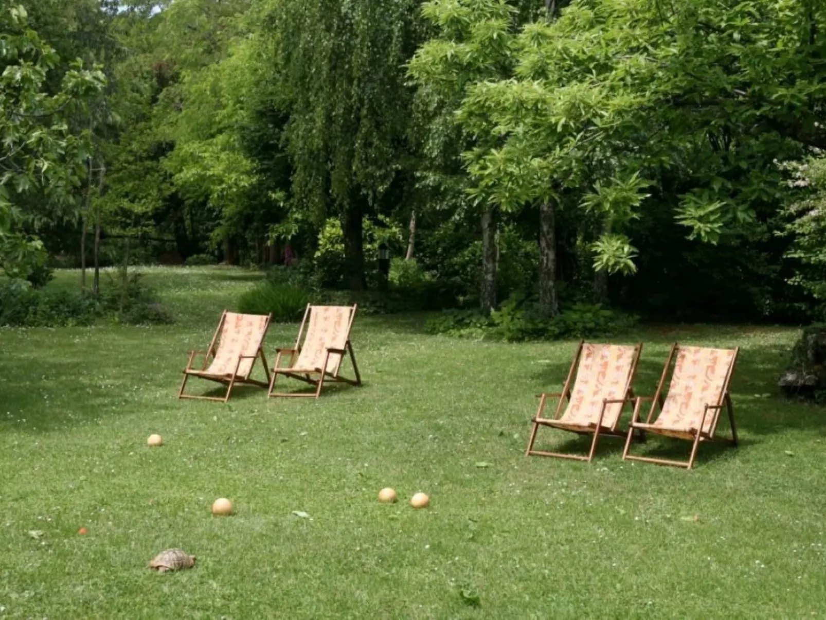 Gemütliches Ferienhaus in Ružići mit Offenem Kamin-Buiten