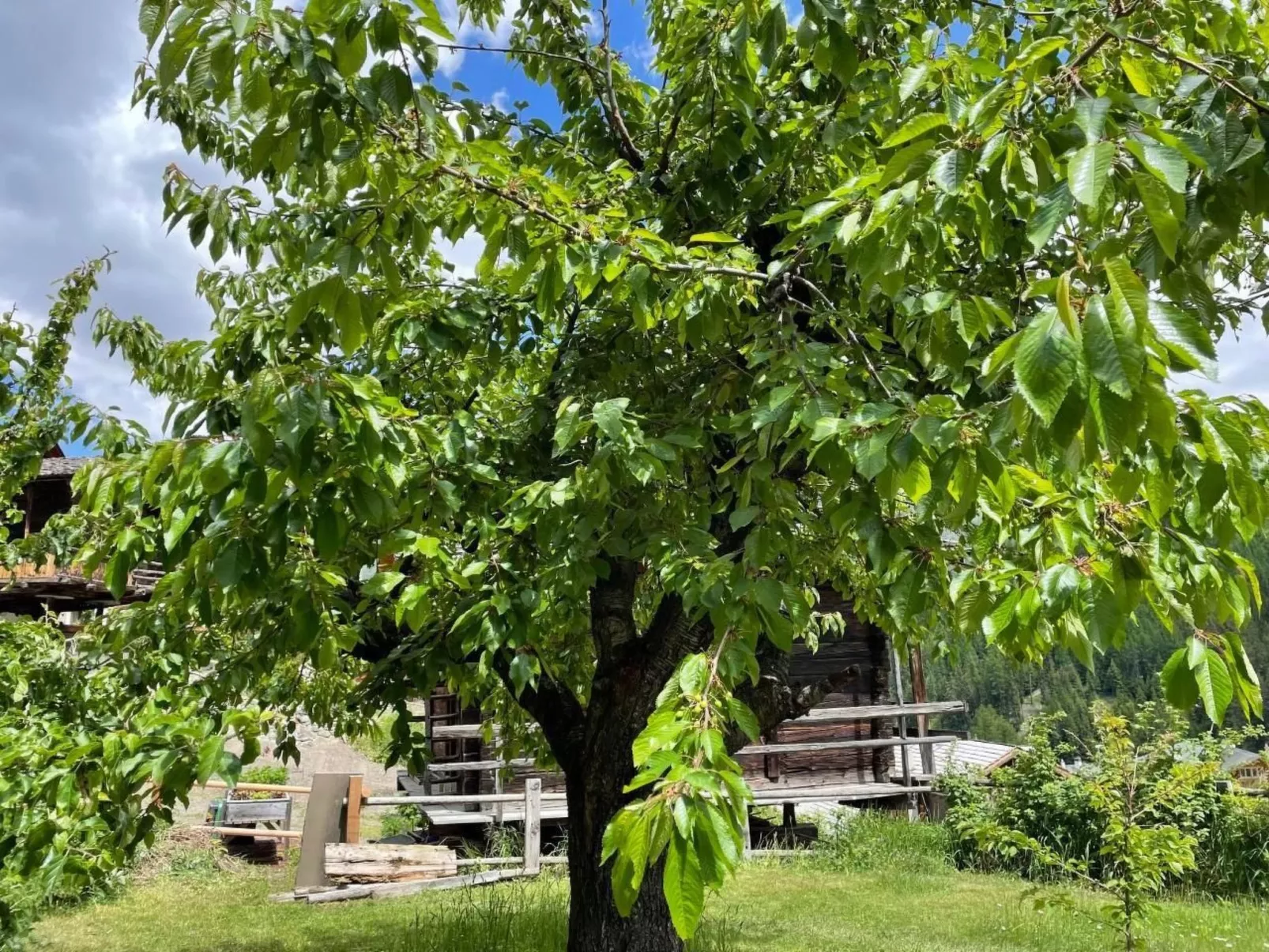 Chalet familial-Image-tags.info