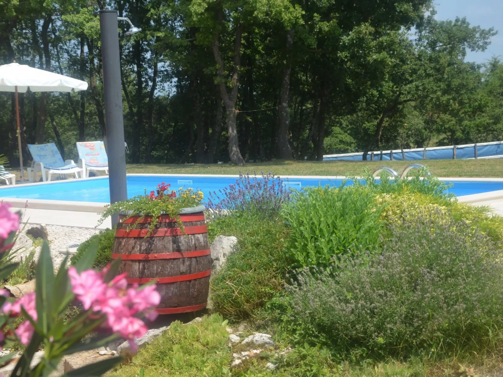 Landgut "Fragola" mit Blick auf die Berge-Buiten