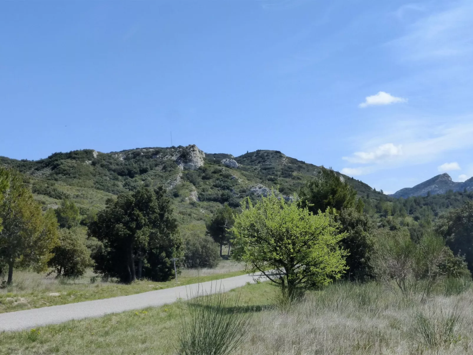 Charmantes Haus mit Pool und Garten-Buiten