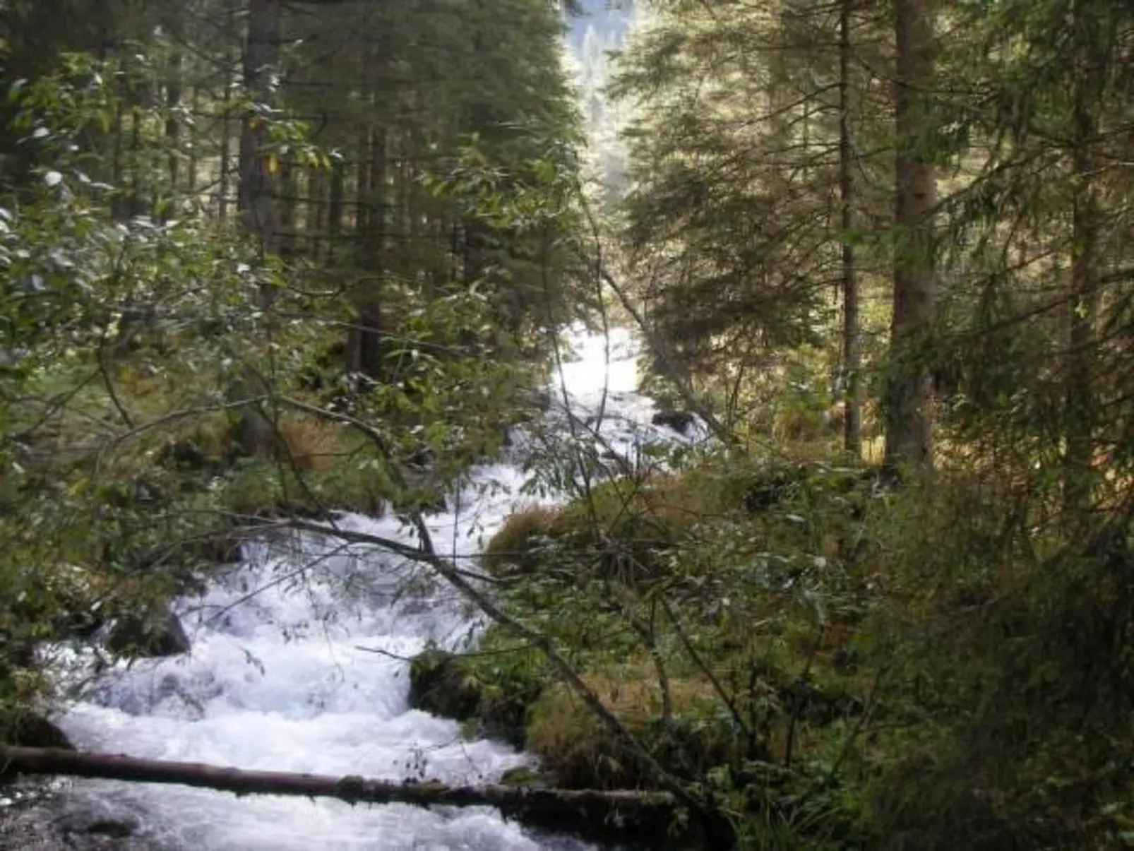 Haus" Walter"-Image-tags.info