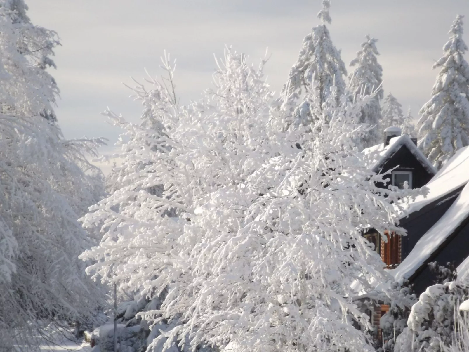 Großzügige Wohnung mit Bergblick im Haus Hopfe-Buiten