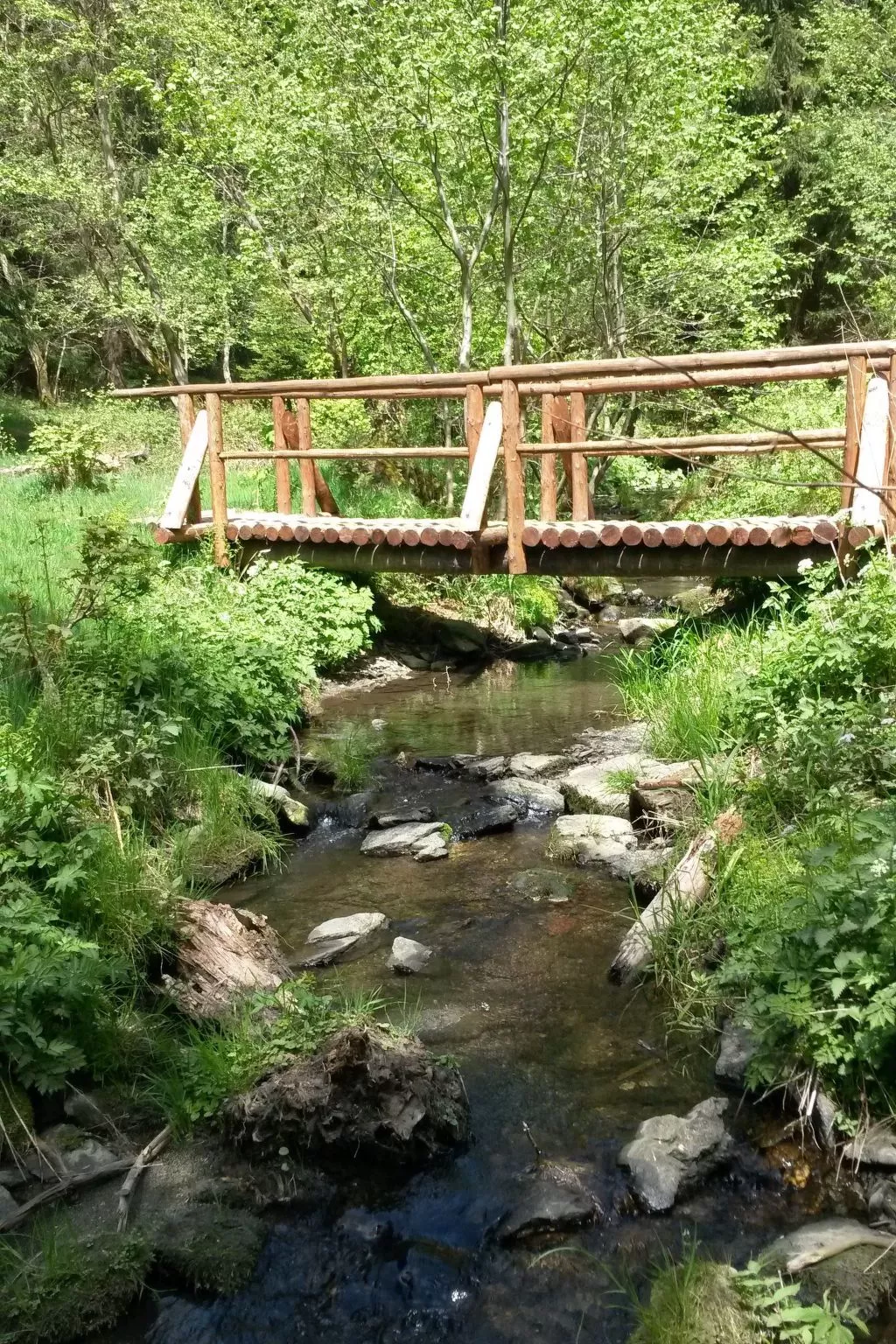Für 6 Personen im Thüringer Wald-Buiten
