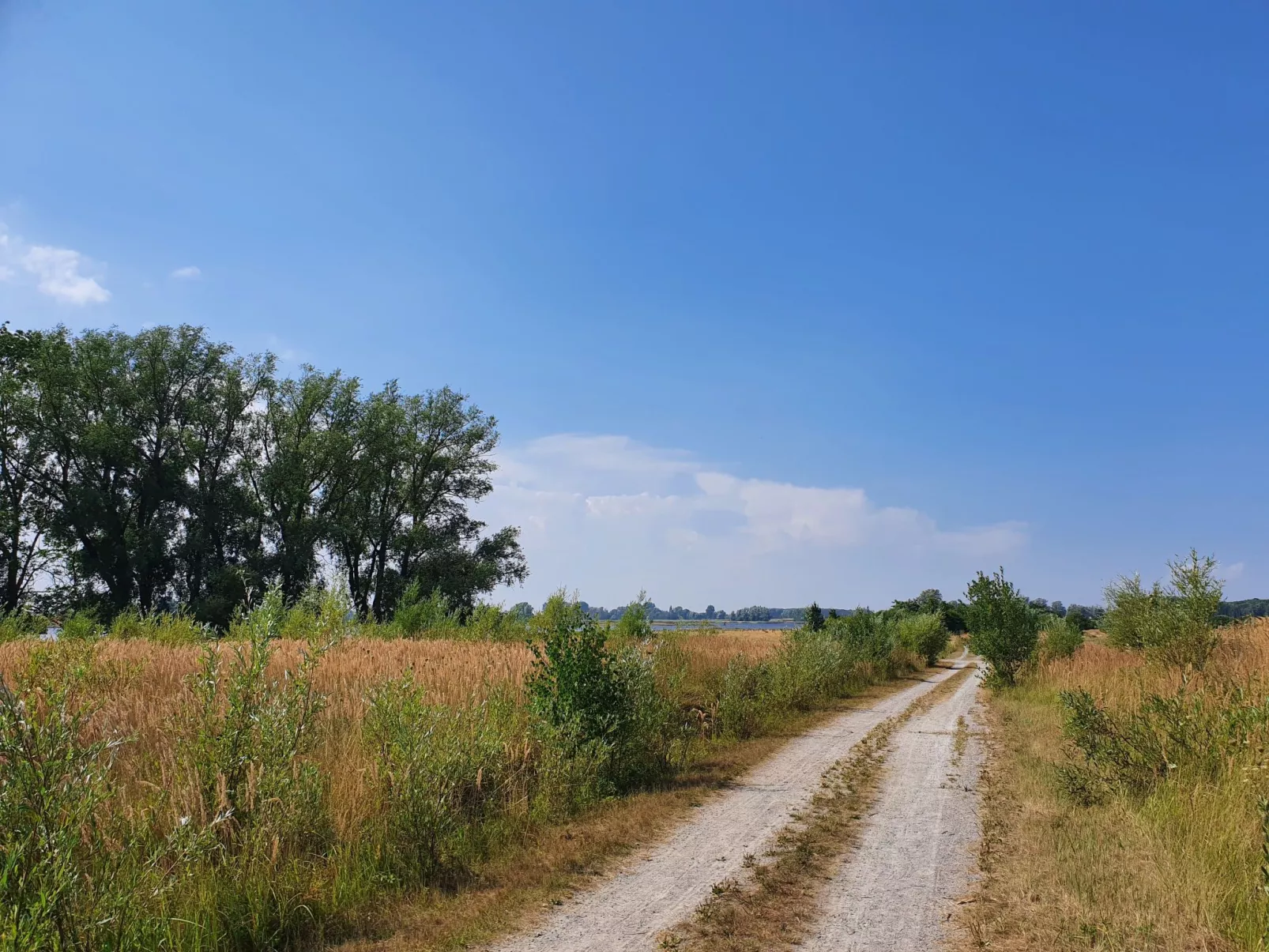 In Mellnitz mit Großem Garten-Buiten