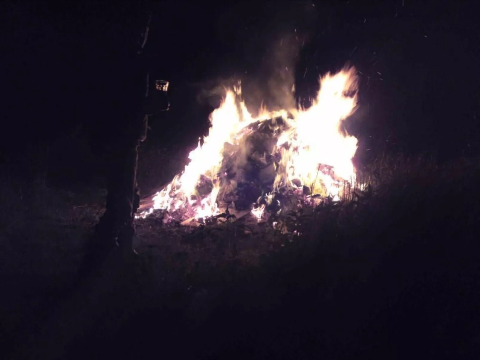 Hof Rodenkrog Fewo 2-Image-tags.info