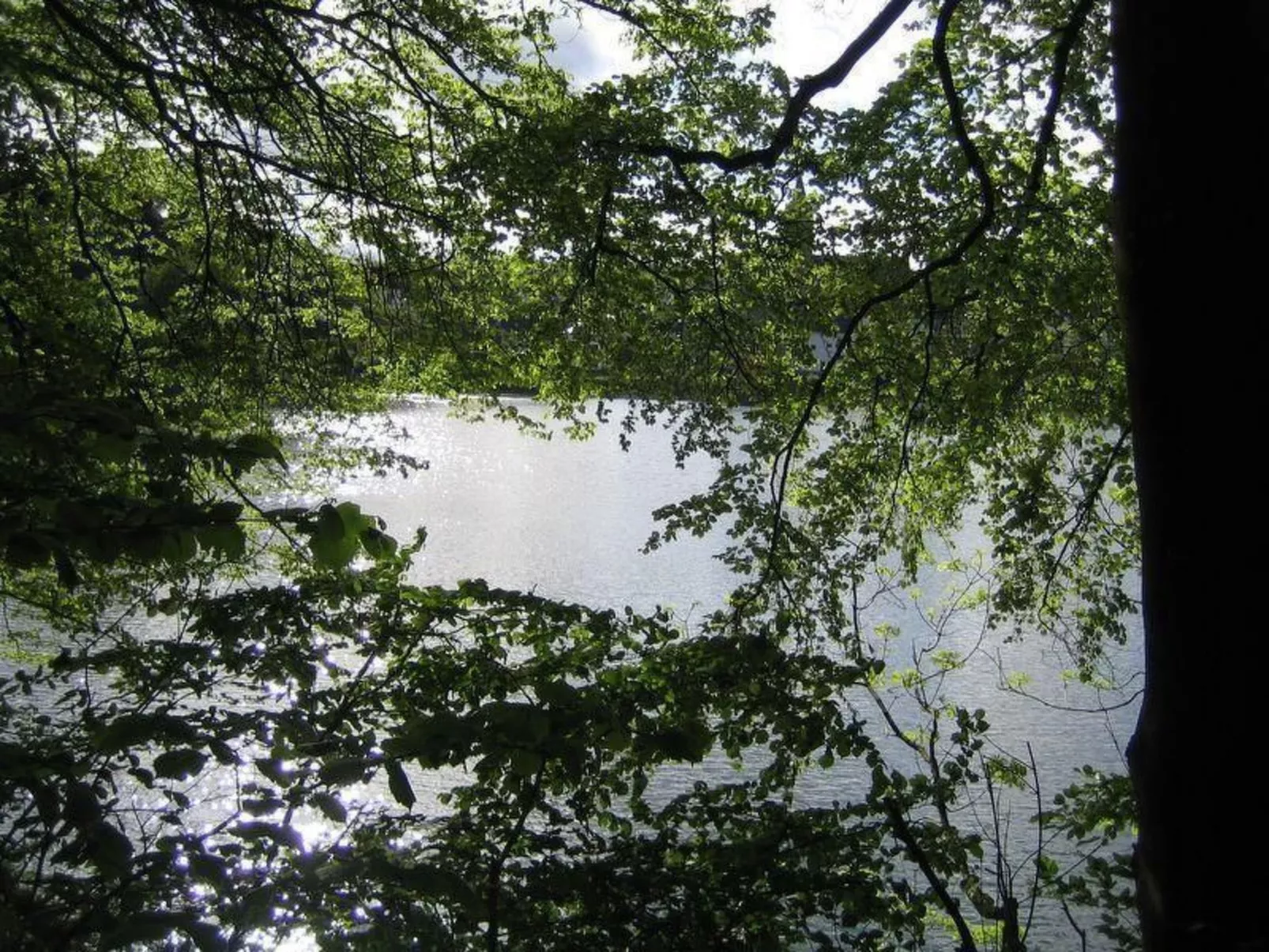 FeWo Haus André-Buiten