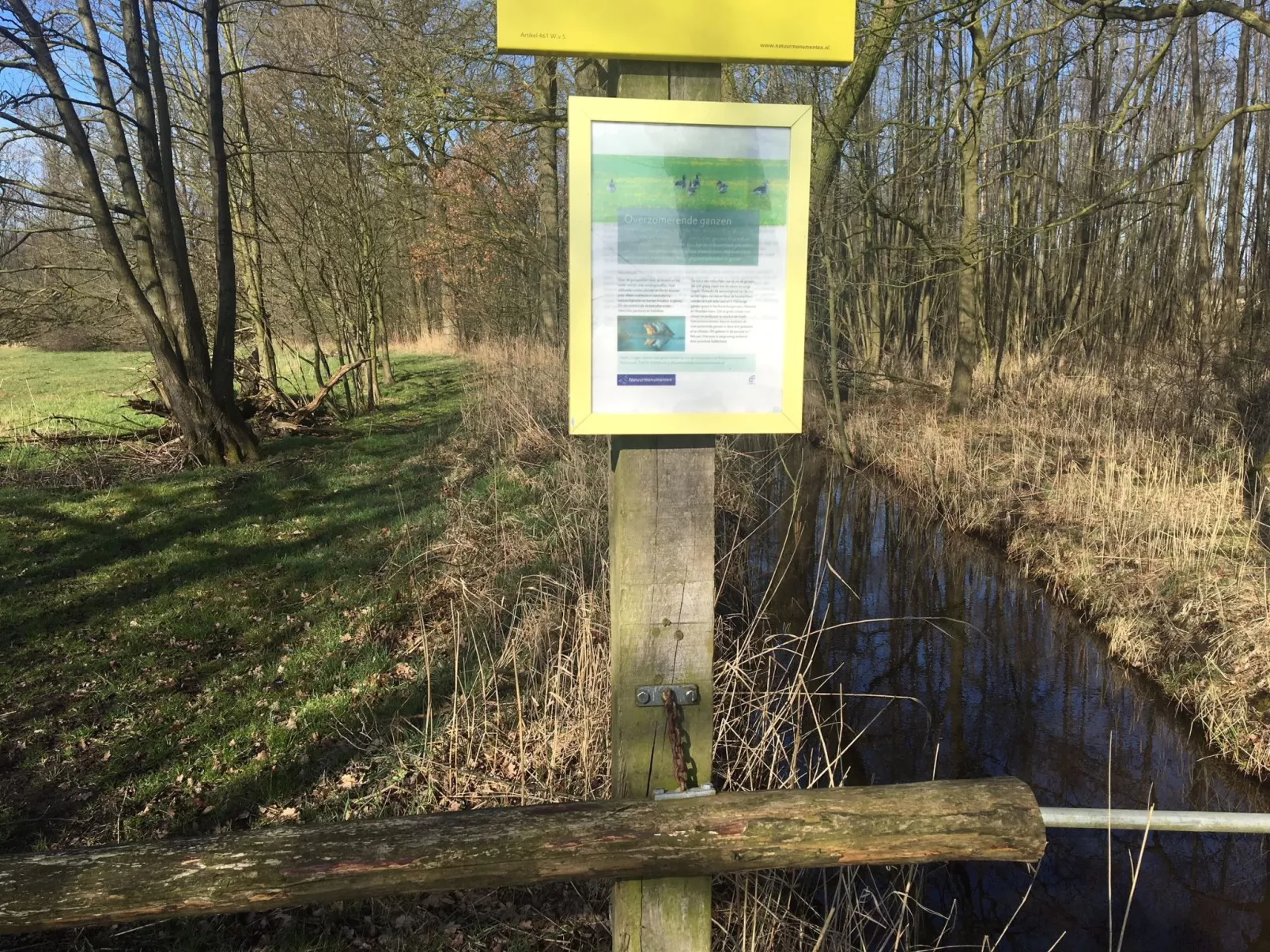 Geräumiges Ferienhaus mitten im Wald-Image-tags.info