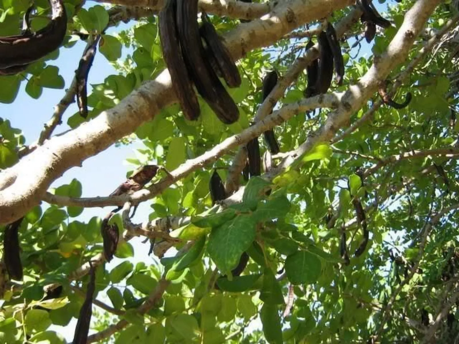 "Ein kleines Paradies"-Image-tags.info