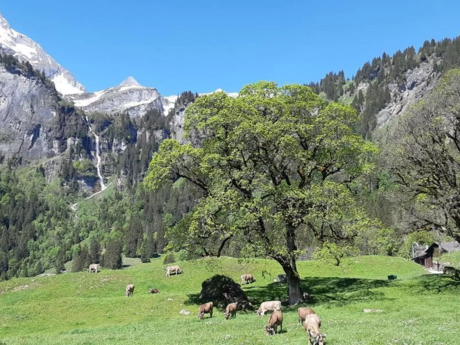 Rietberg 8 Braunwald-Buiten
