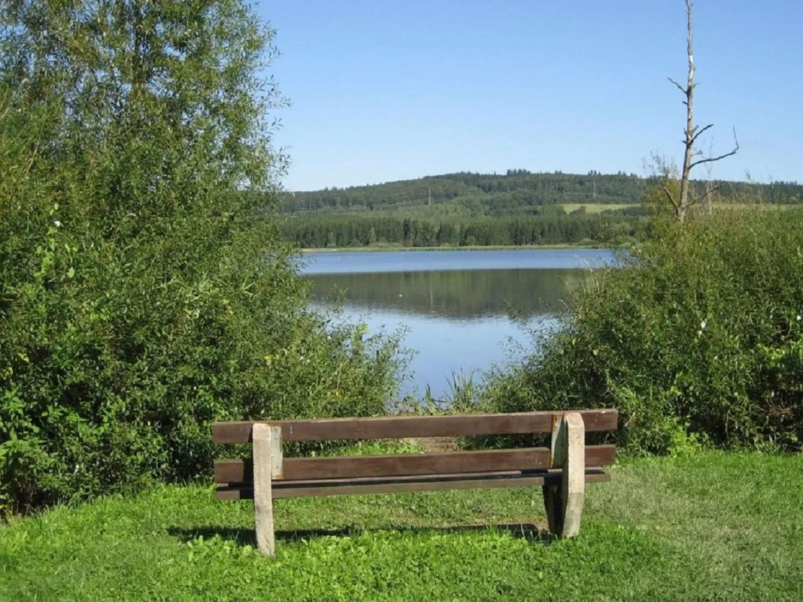 In der Vulkaneifel-Buiten