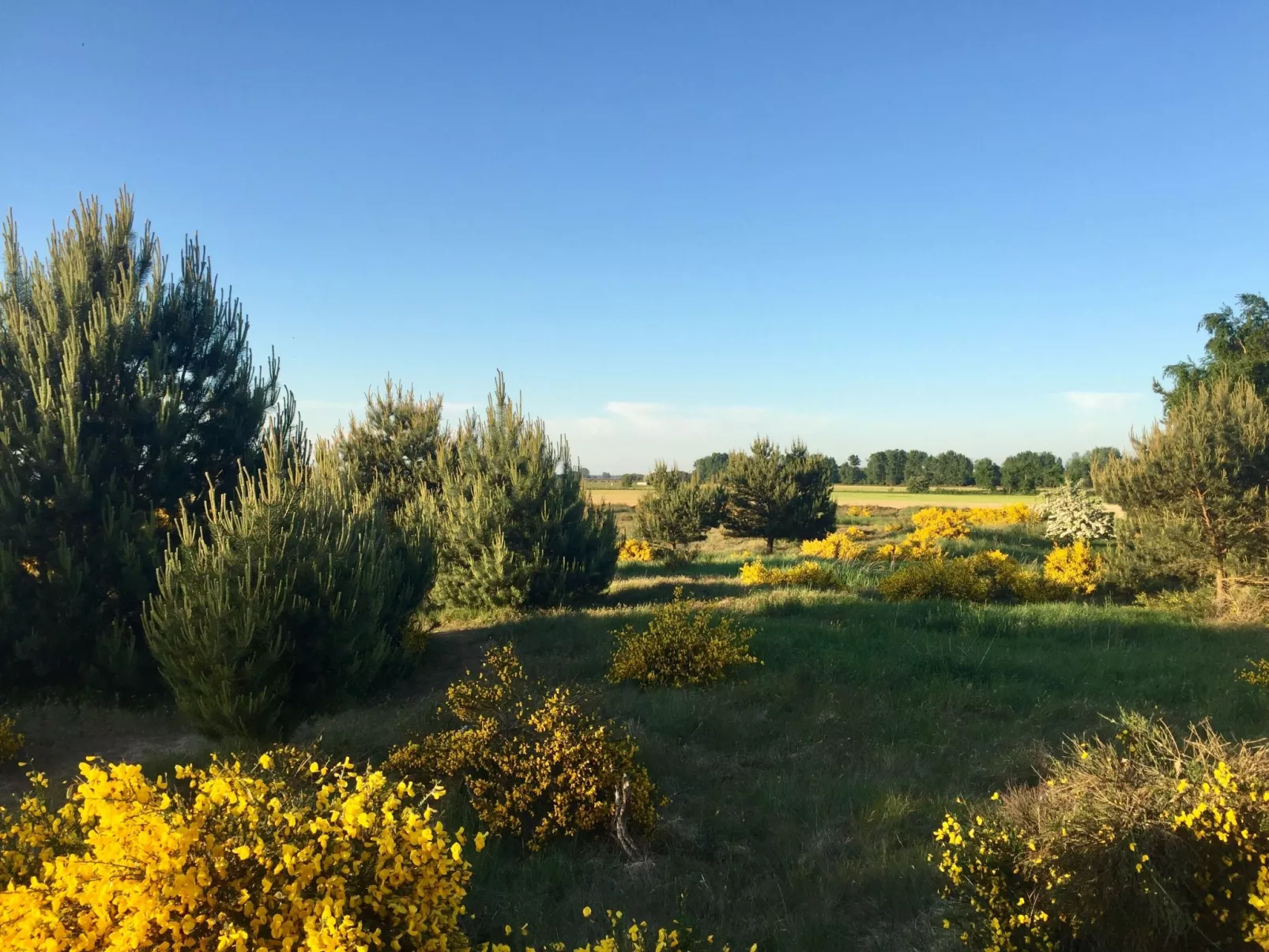 Wiesenblick 2-Buiten