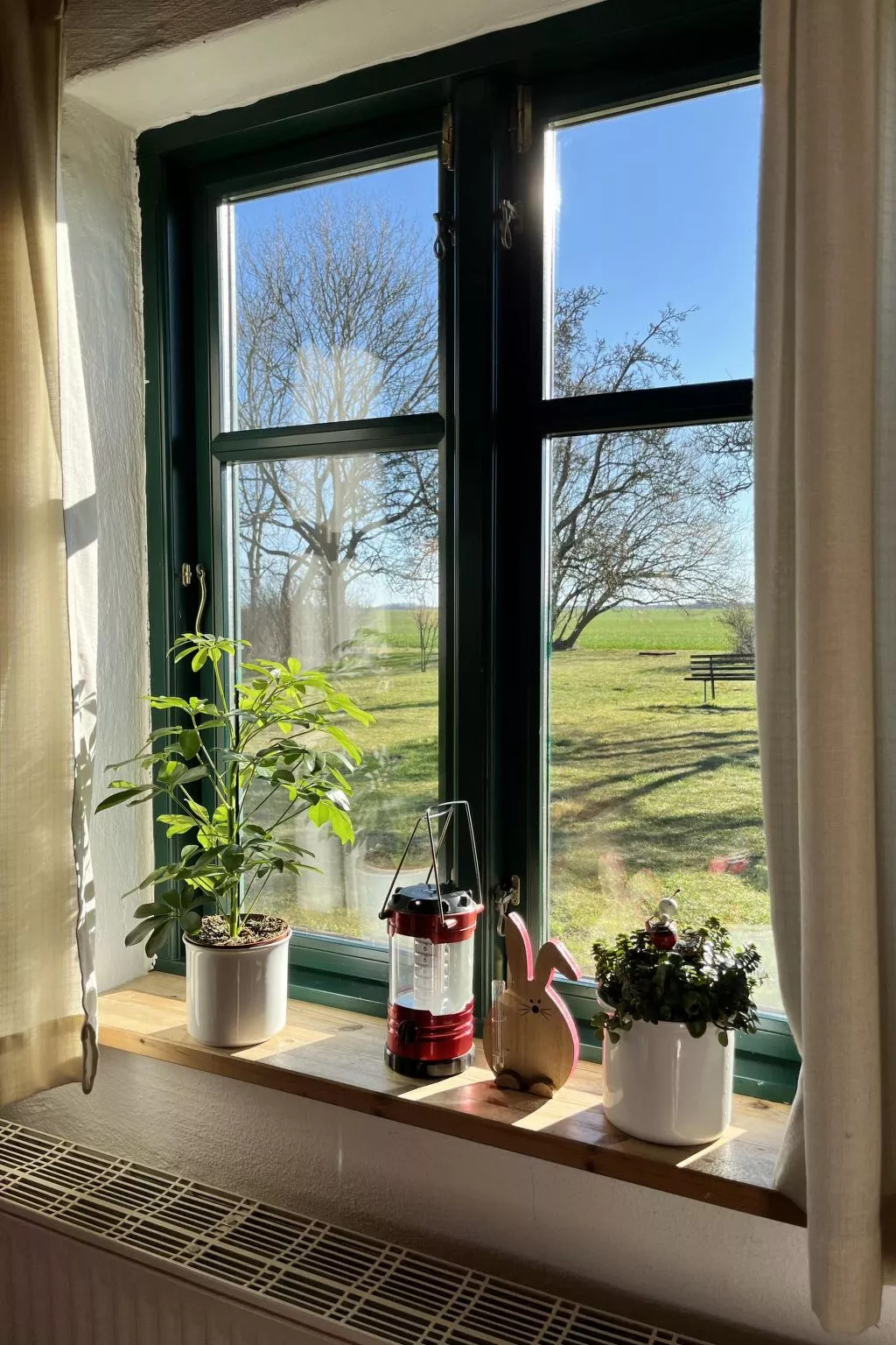 Kranich in Ummanz-Lüßvitz-Buiten