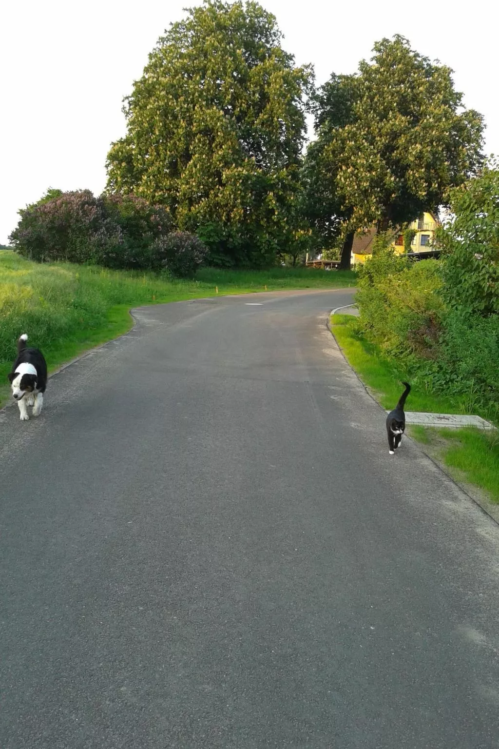 Schwalbennest-Image-tags.info